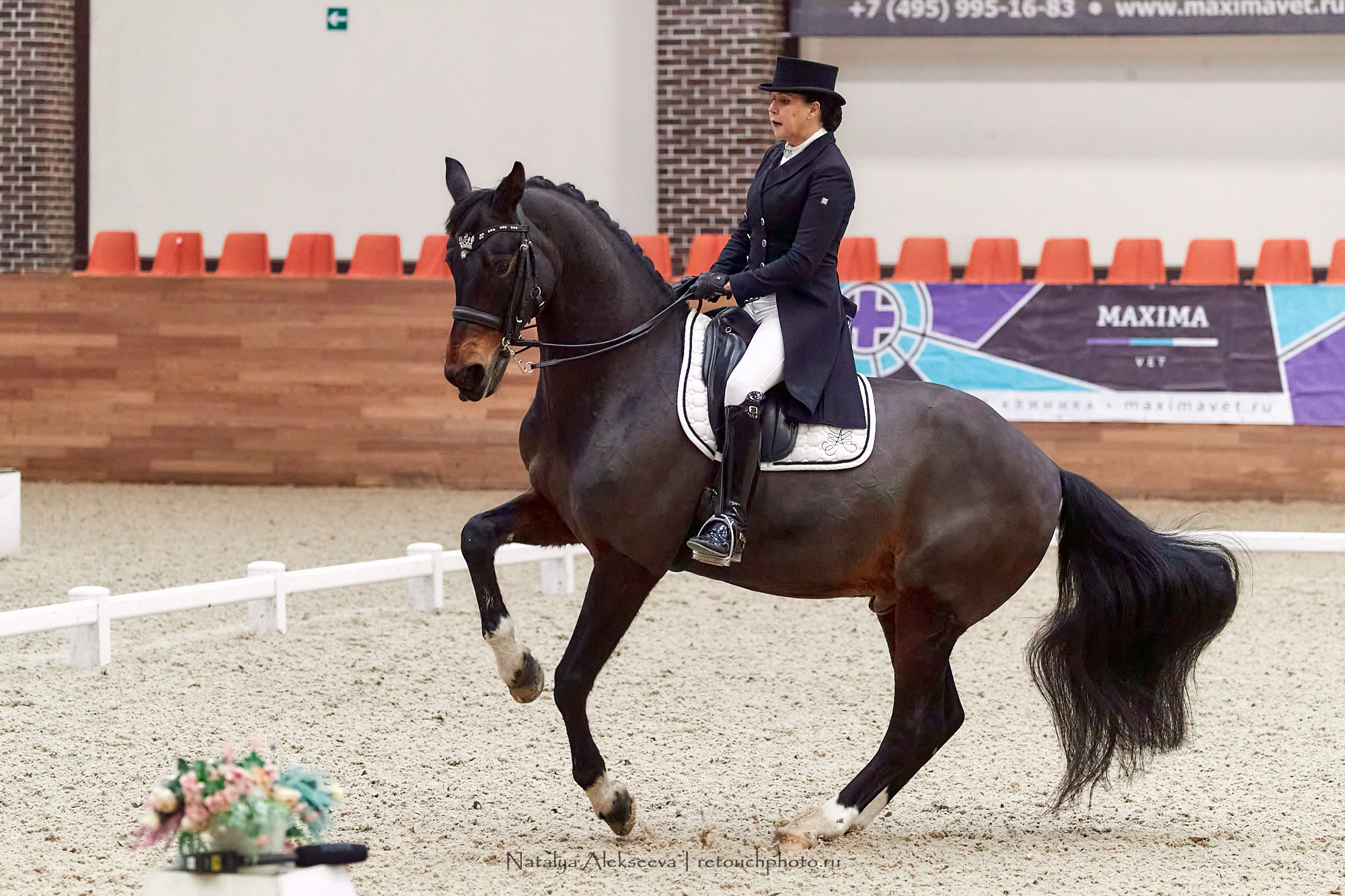 CDI-3*/2*/Ch/J/Y, Maxima Stables | 11'2020. Репортажный фотограф и ретушер в Москве Наталья Алексеева