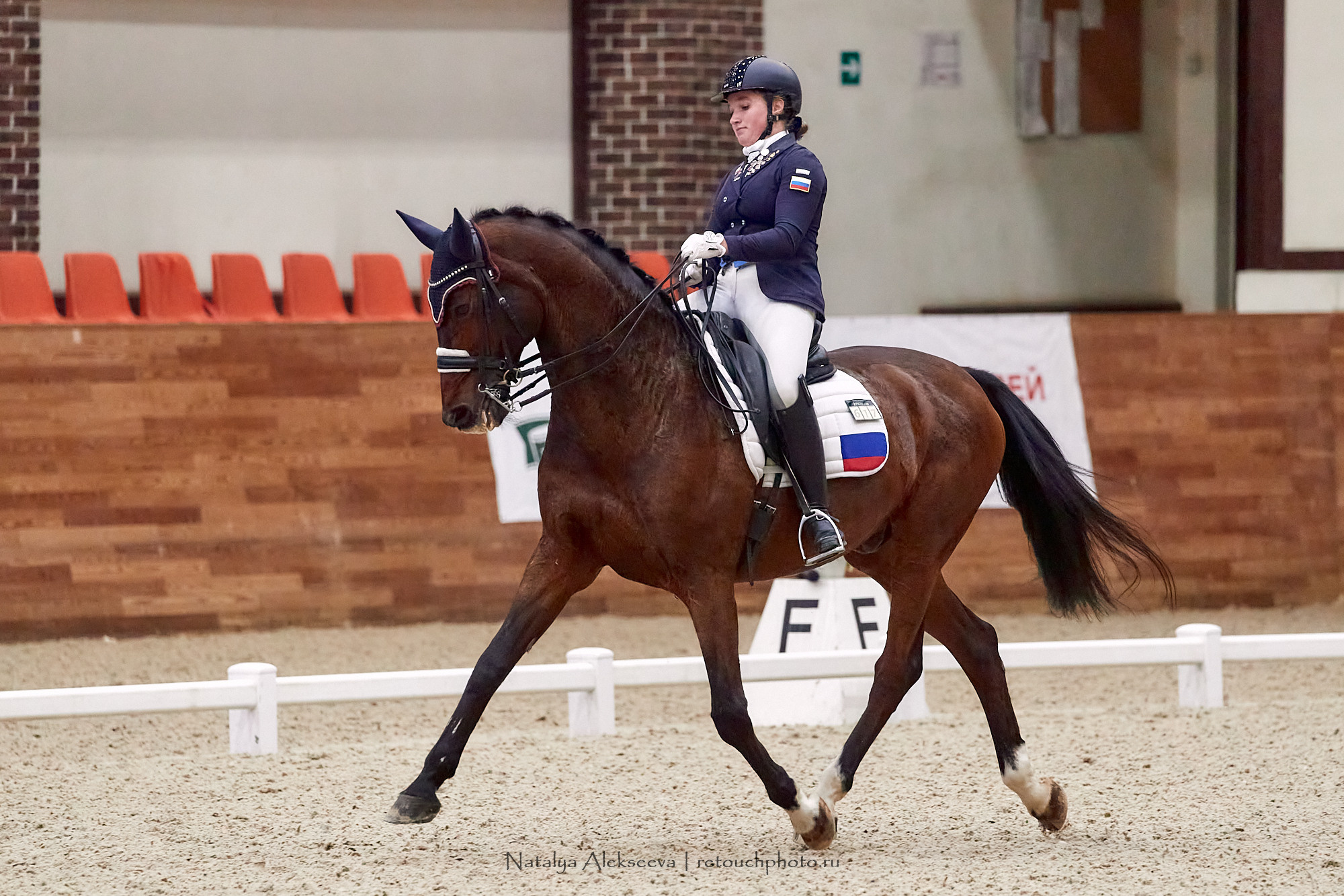 CDI-3*/2*/Ch/J/Y, Maxima Stables | 11'2020. Репортажный фотограф и ретушер в Москве Наталья Алексеева