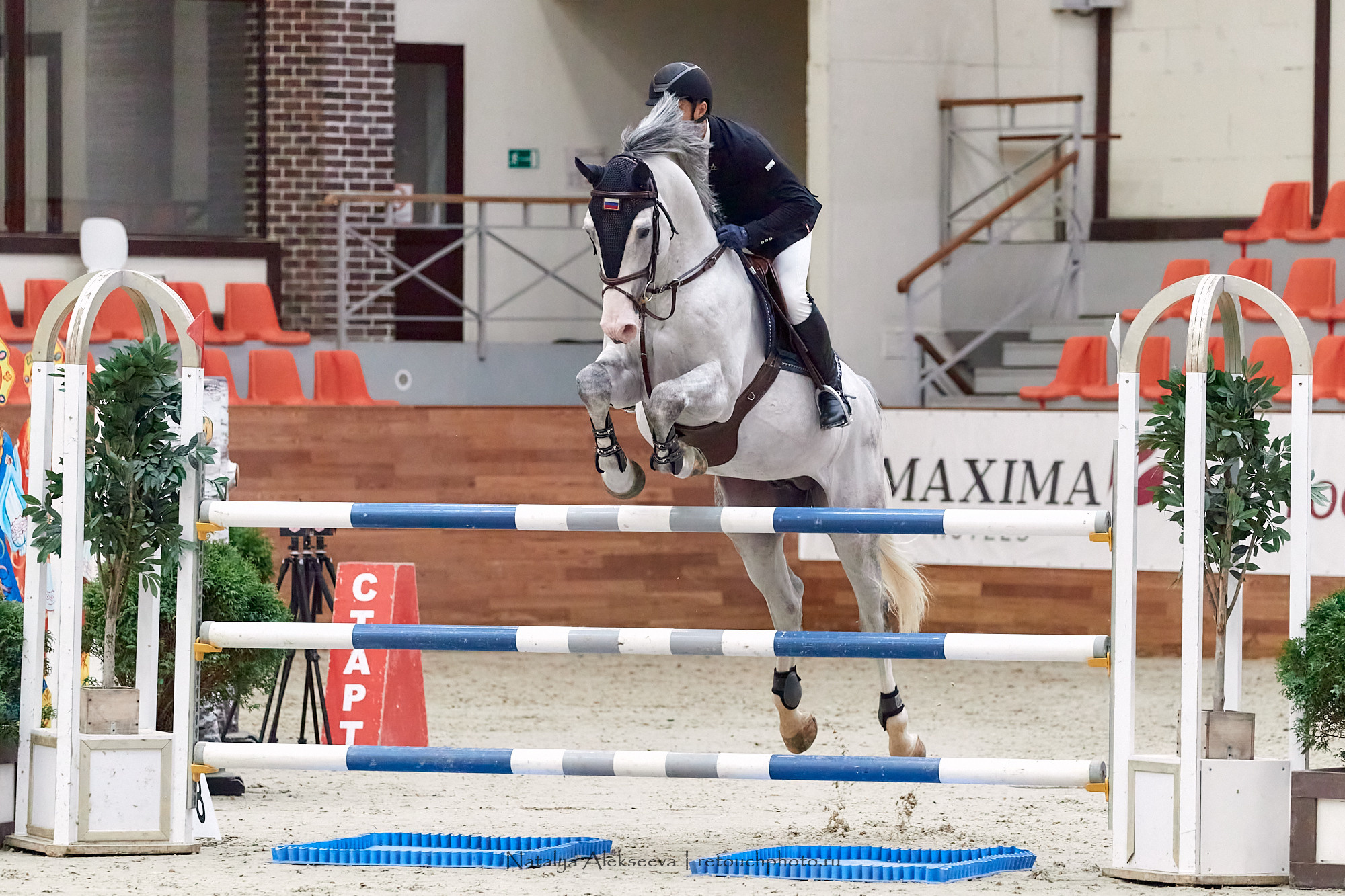 Кубок России по конкуру, Maxima Stables | 11'2020. Репортажный фотограф и ретушер в Москве Наталья Алексеева