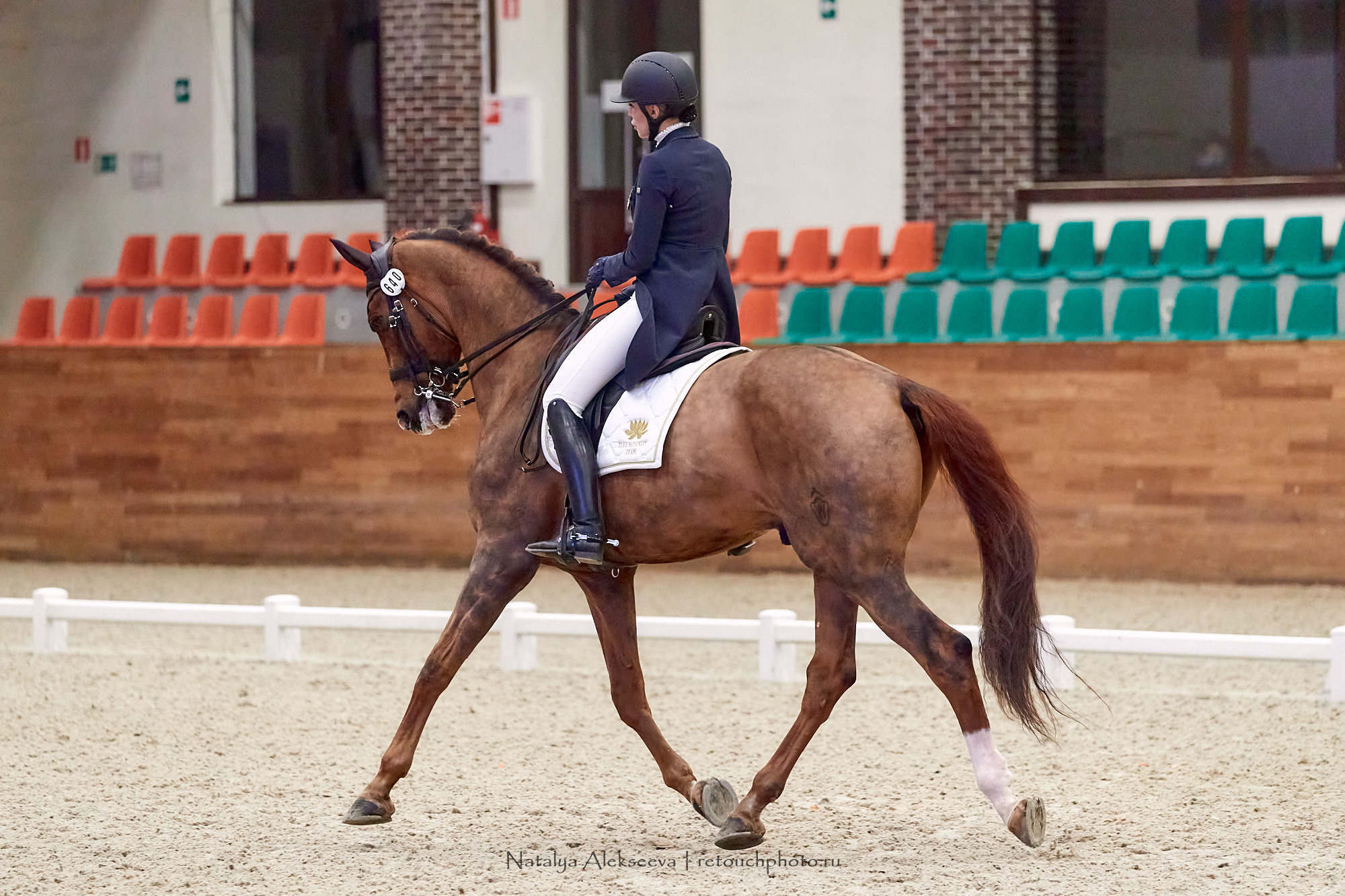 CDI-3*/2*/Ch/J/Y, Maxima Stables | 11'2020. Репортажный фотограф и ретушер в Москве Наталья Алексеева