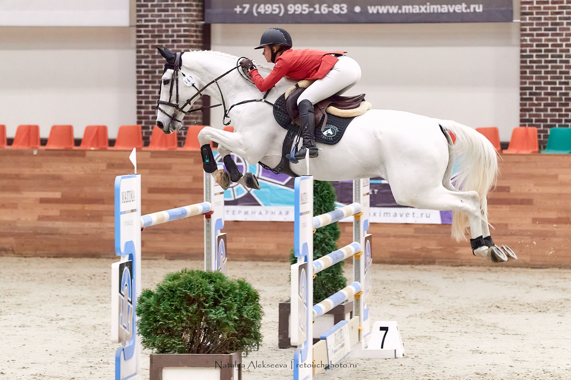 Кубок России по конкуру, Maxima Stables | 11'2020. Репортажный фотограф и ретушер в Москве Наталья Алексеева