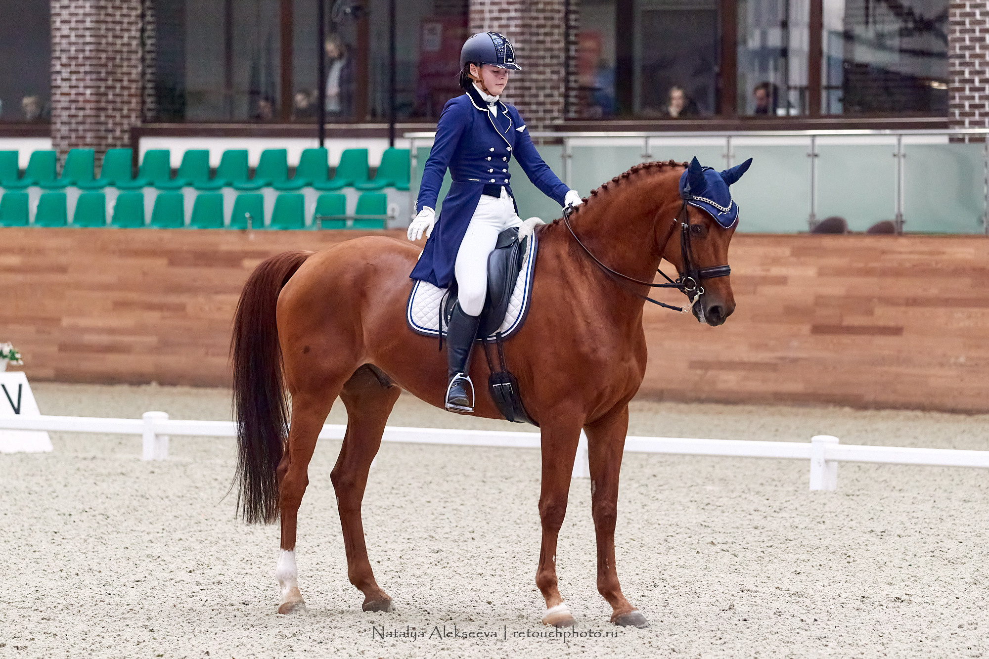 CDI-3*/2*/Ch/J/Y, Maxima Stables | 11'2020. Репортажный фотограф и ретушер в Москве Наталья Алексеева