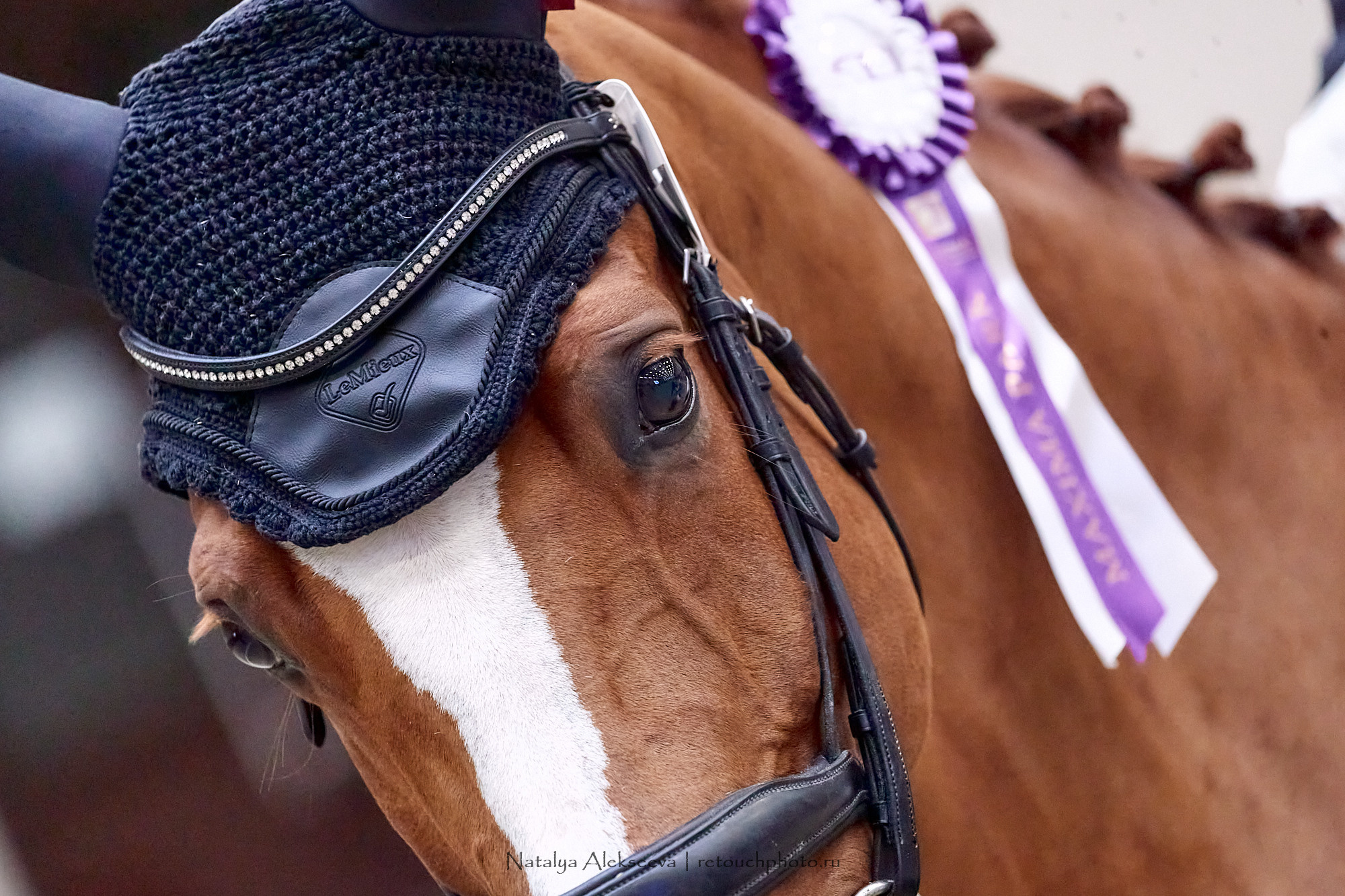 CDI-3*/2*/Ch/J/Y, Maxima Stables | 11'2020. Репортажный фотограф и ретушер в Москве Наталья Алексеева