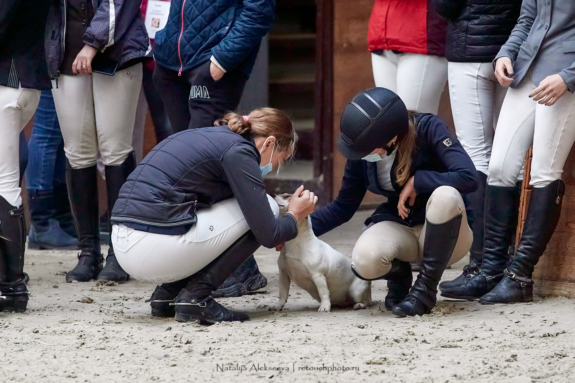 Кубок России по конкуру, Maxima Stables | 11'2020. Репортажный фотограф и ретушер в Москве Наталья Алексеева