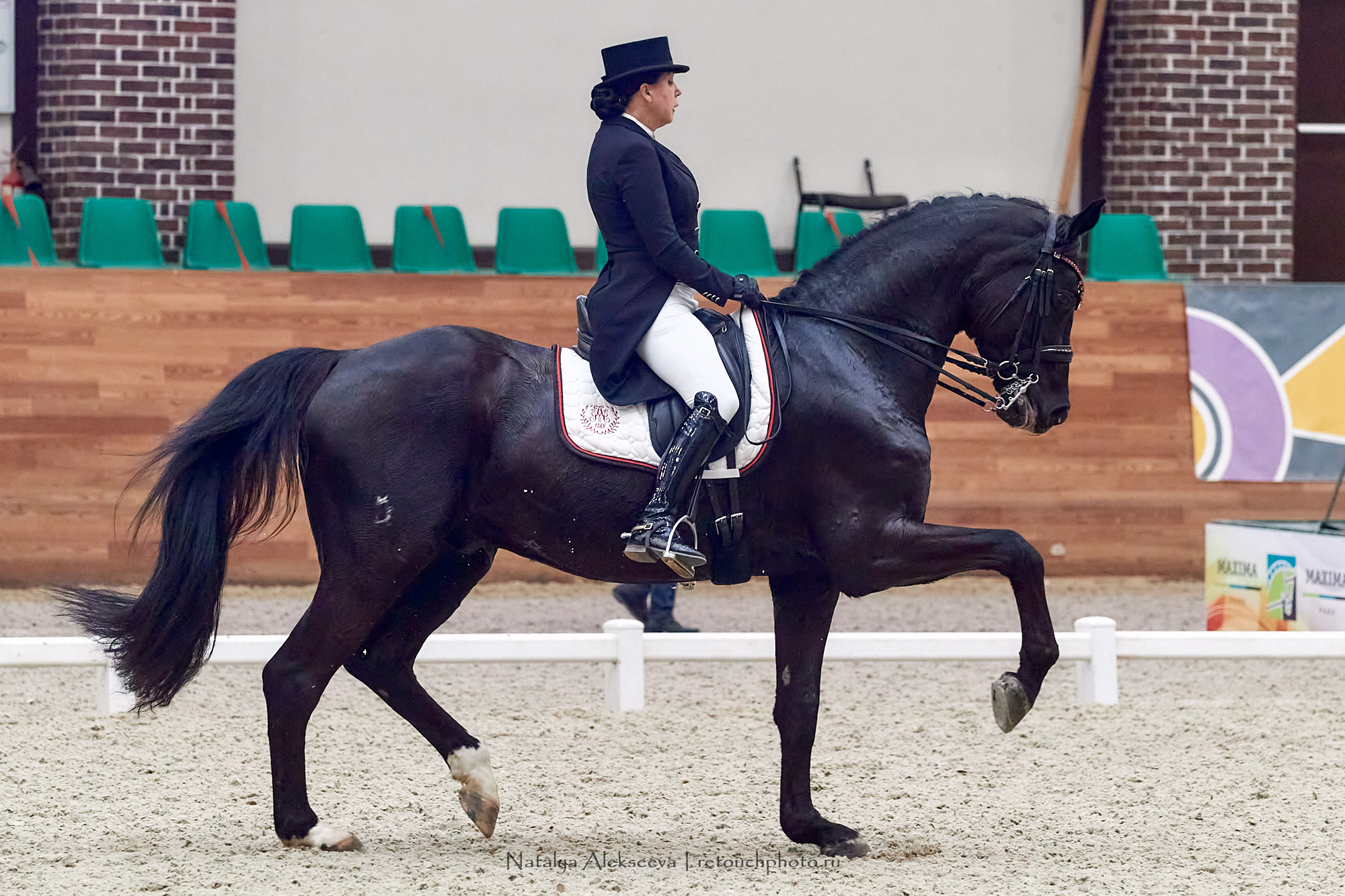 CDI-3*/2*/Ch/J/Y, Maxima Stables | 11'2020. Репортажный фотограф и ретушер в Москве Наталья Алексеева