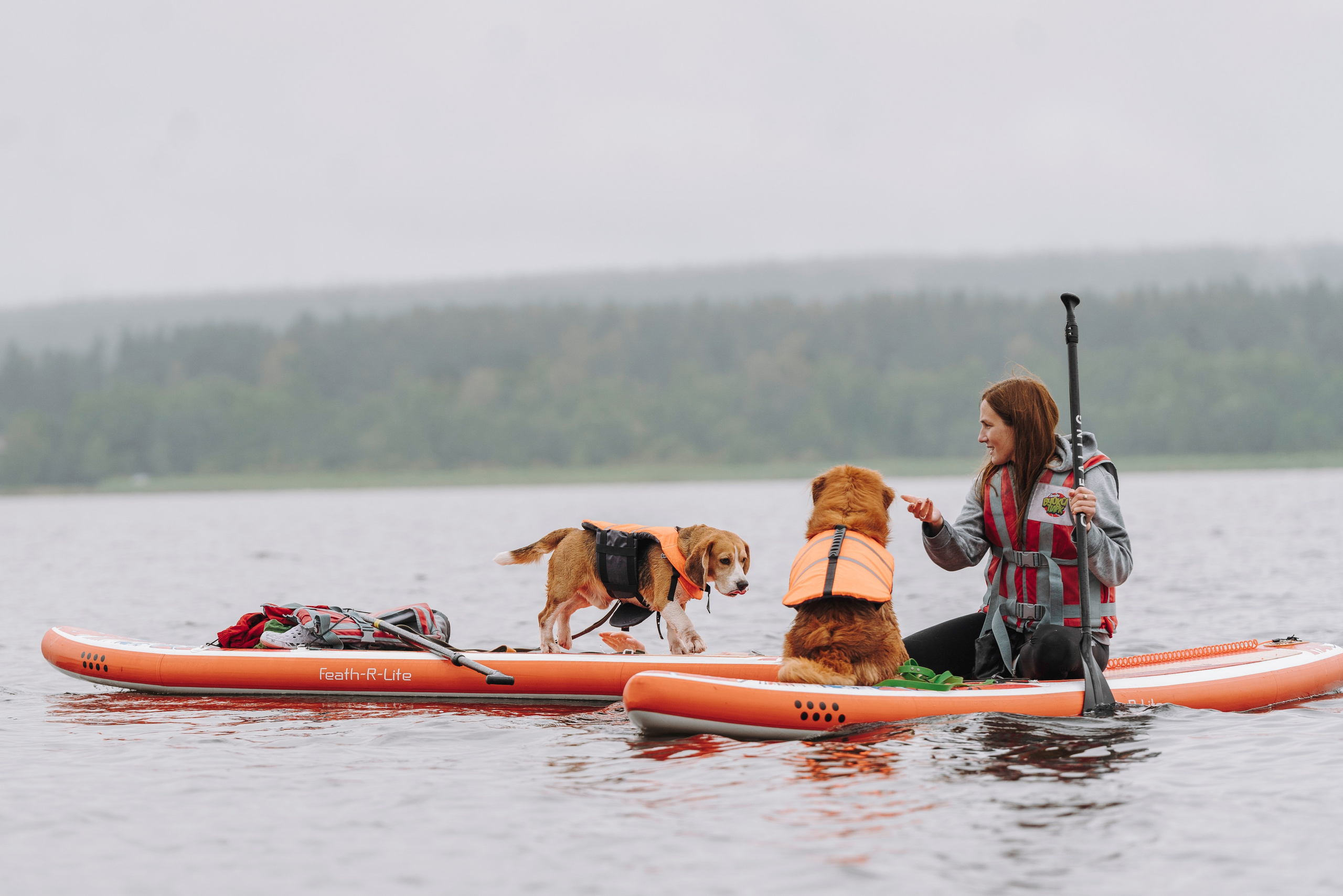 Катание на сапах с собаками. Фотограф анималист в Спб недорого Олеся Майорова