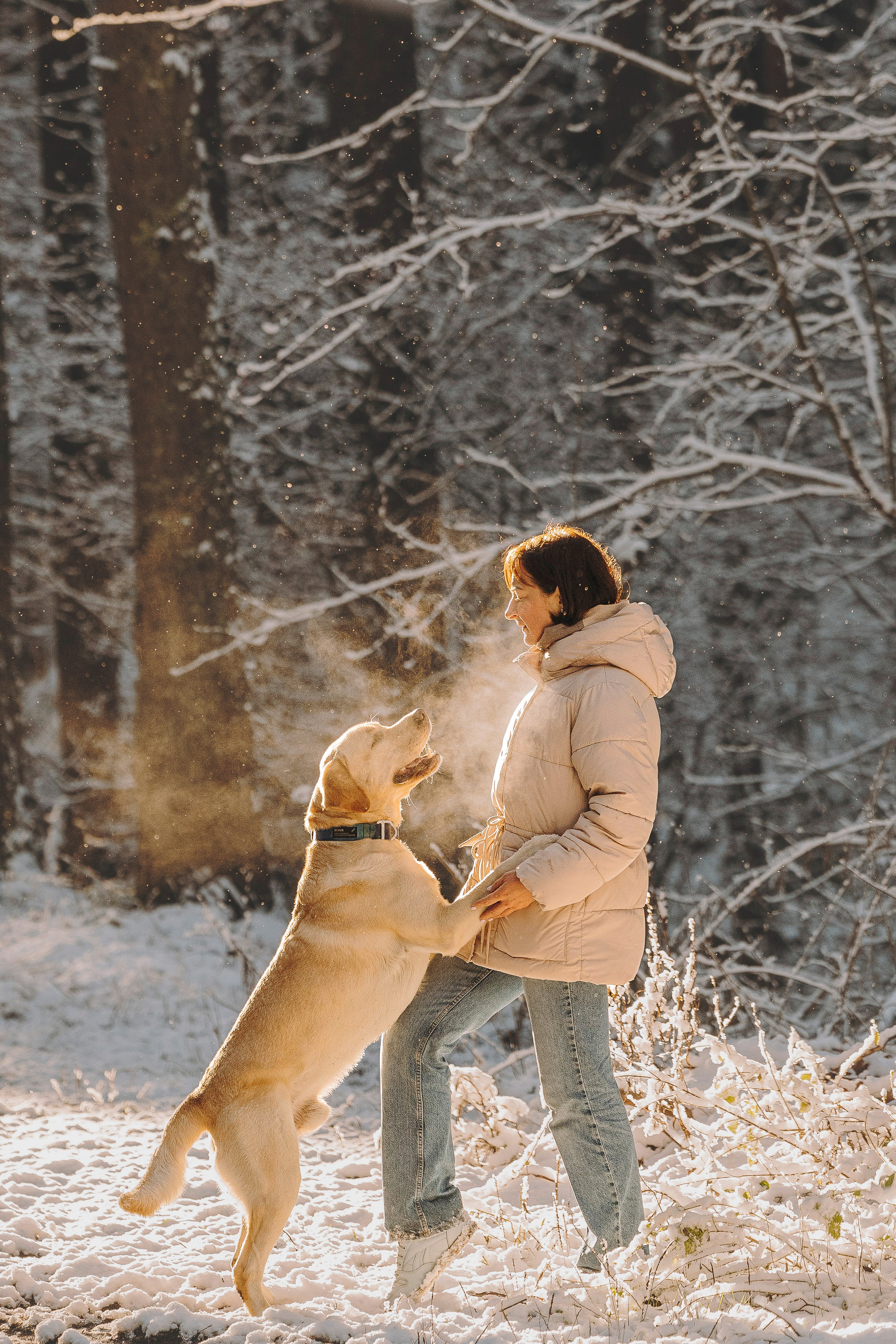 Аня и Честер. Фотограф анималист в Спб недорого Олеся Майорова