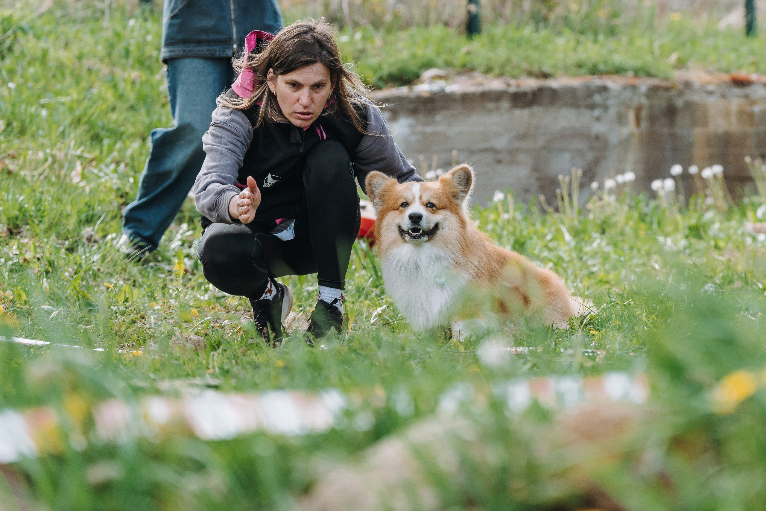 Соревнования по ноузворку в Лосево. Фотограф анималист в Спб недорого Олеся Майорова