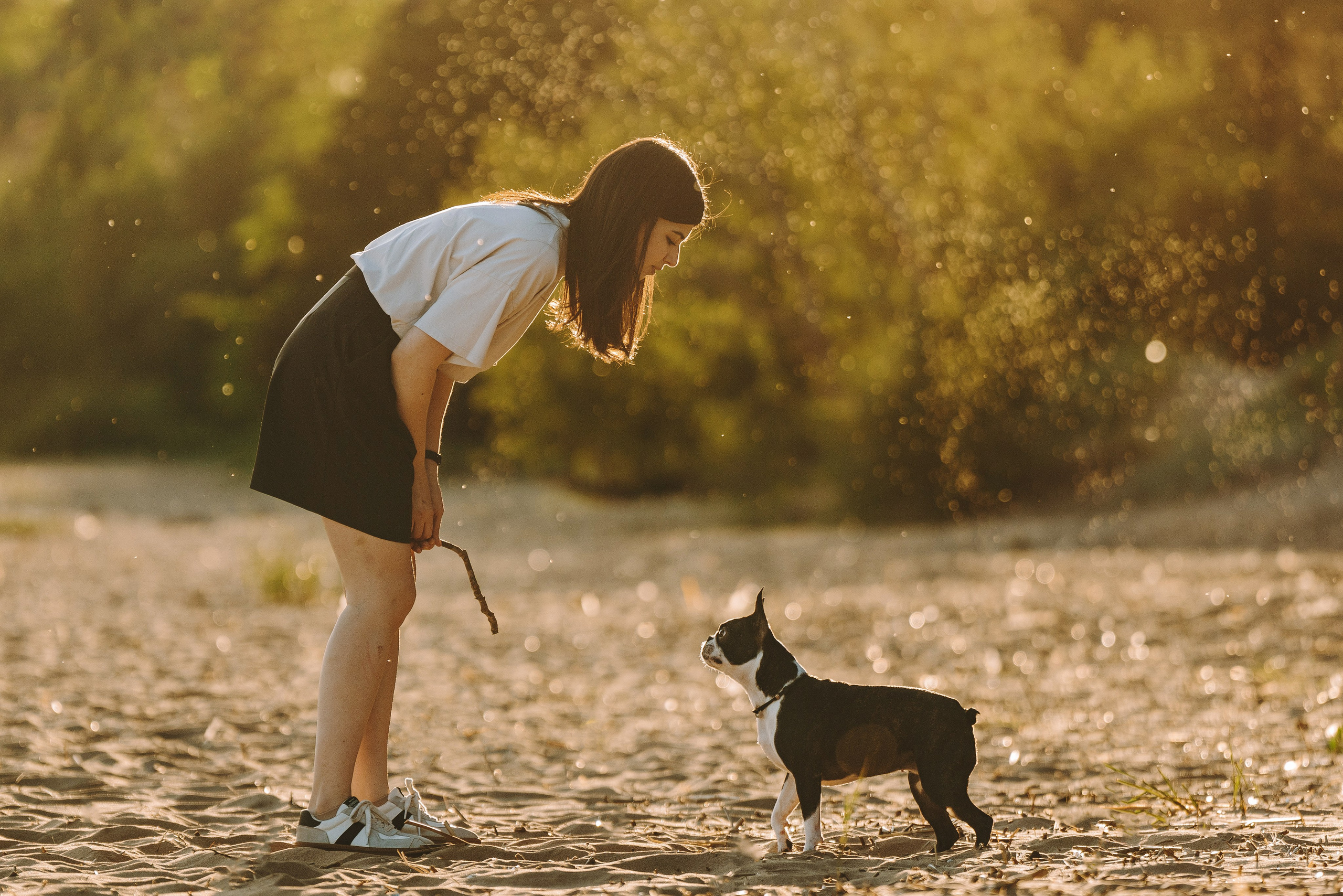 Анаита и Дора. Фотограф анималист в Спб недорого Олеся Майорова