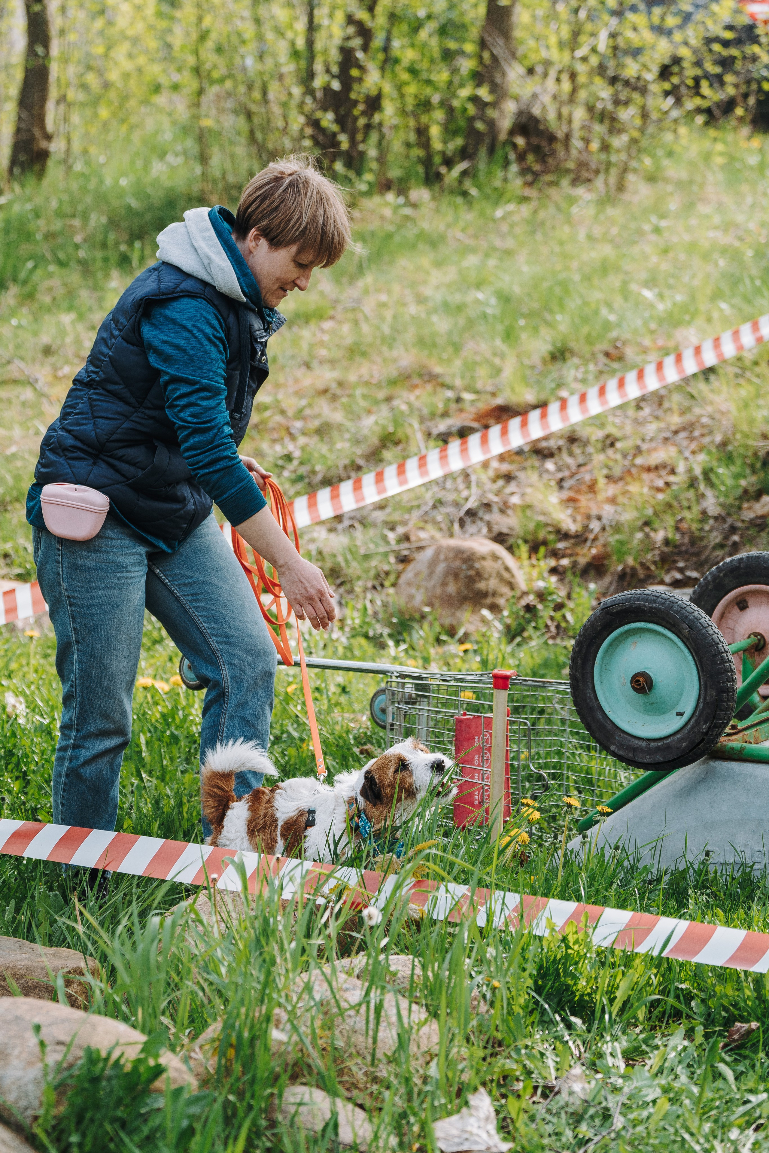 Соревнования по ноузворку в Лосево. Фотограф анималист в Спб недорого Олеся Майорова
