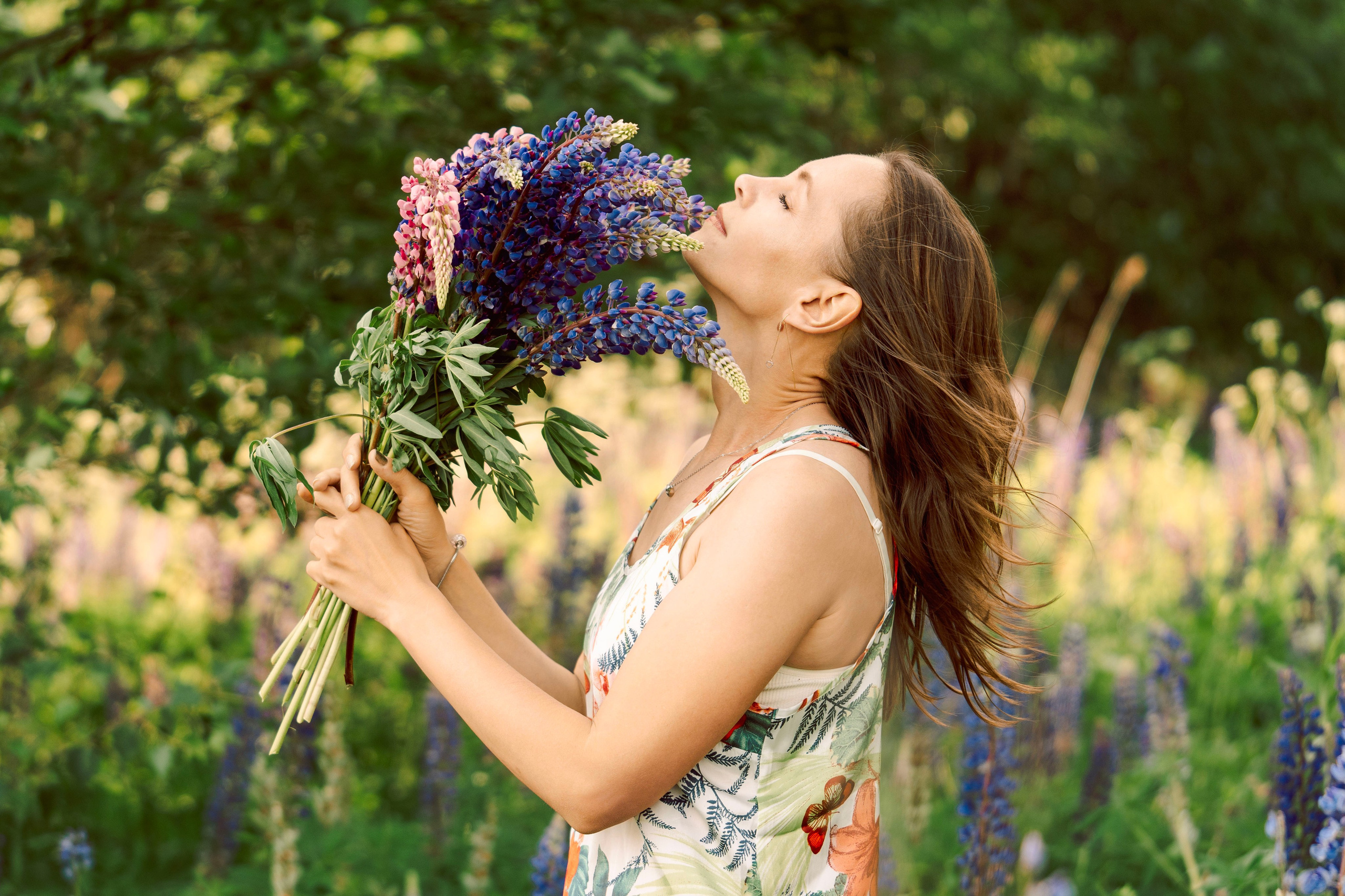 Люпины. Фотограф Юлия Попова