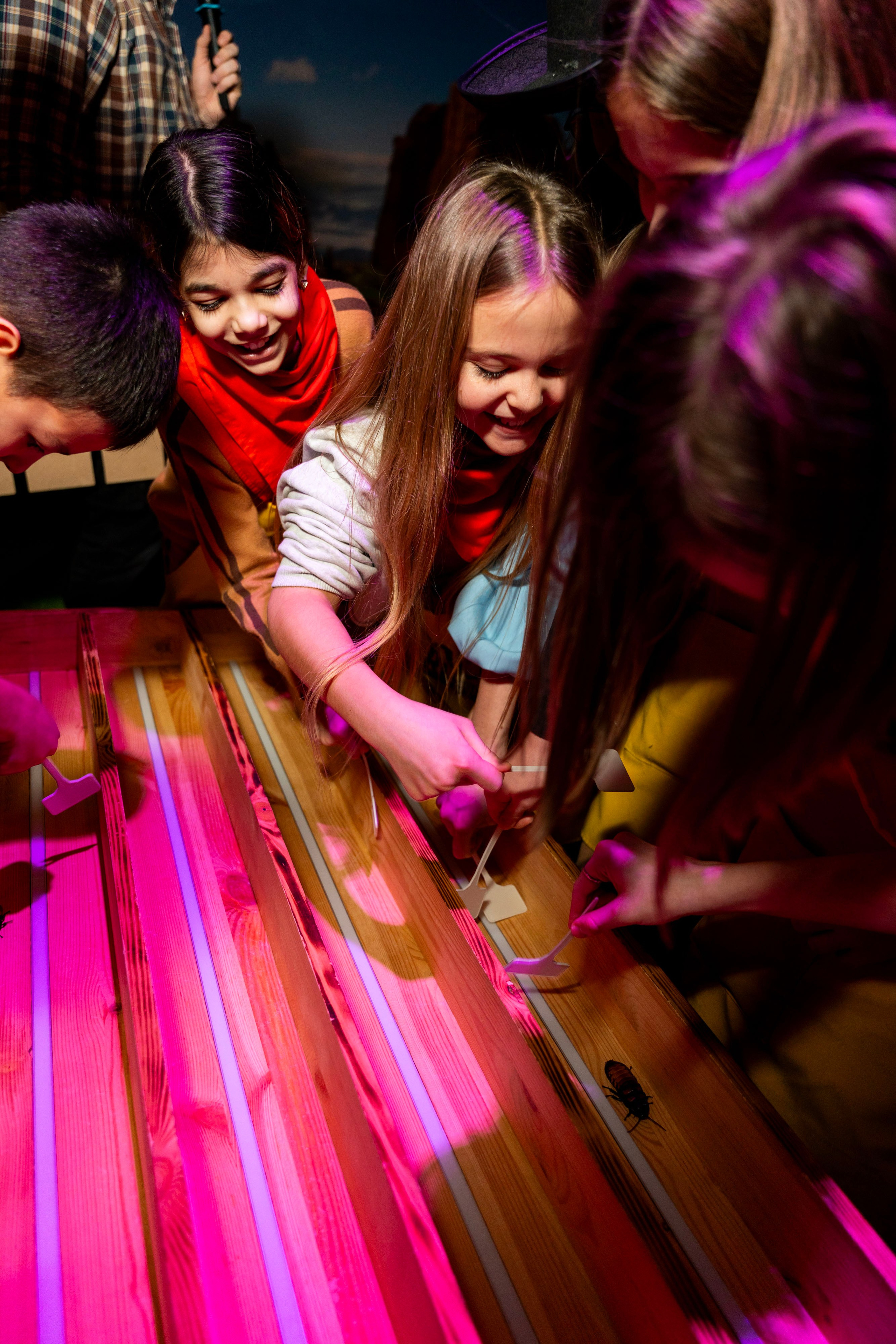 Квесты. Фотограф Юлия Попова