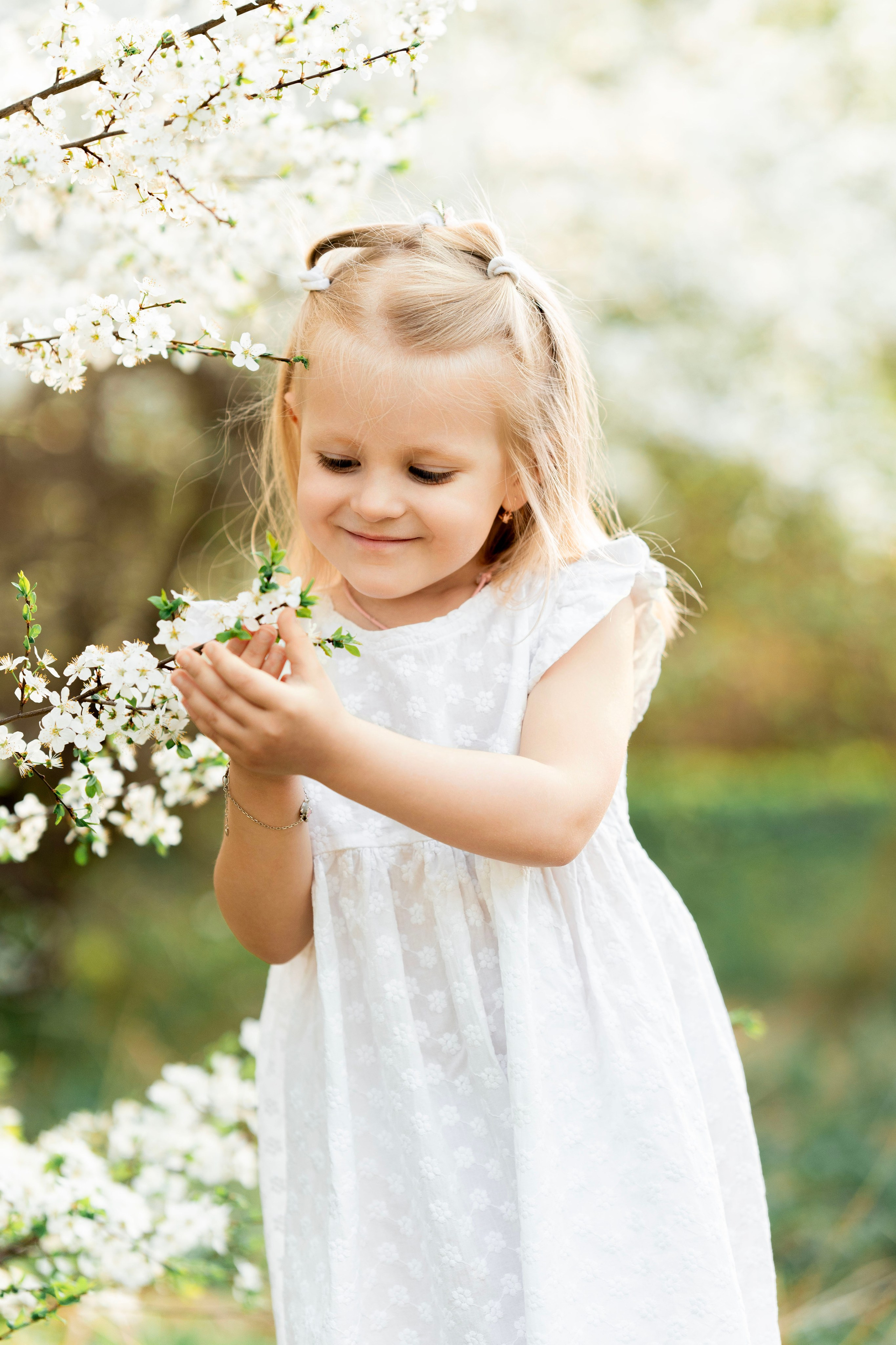 Цветение. Фотограф Юлия Попова