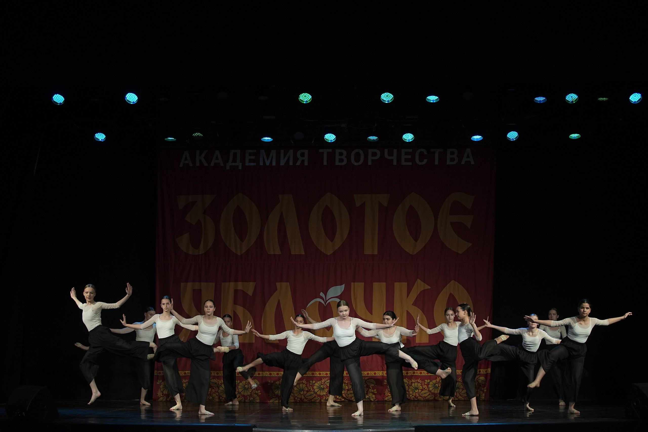 8 декабря, г. Кострома. Золотое яблочко