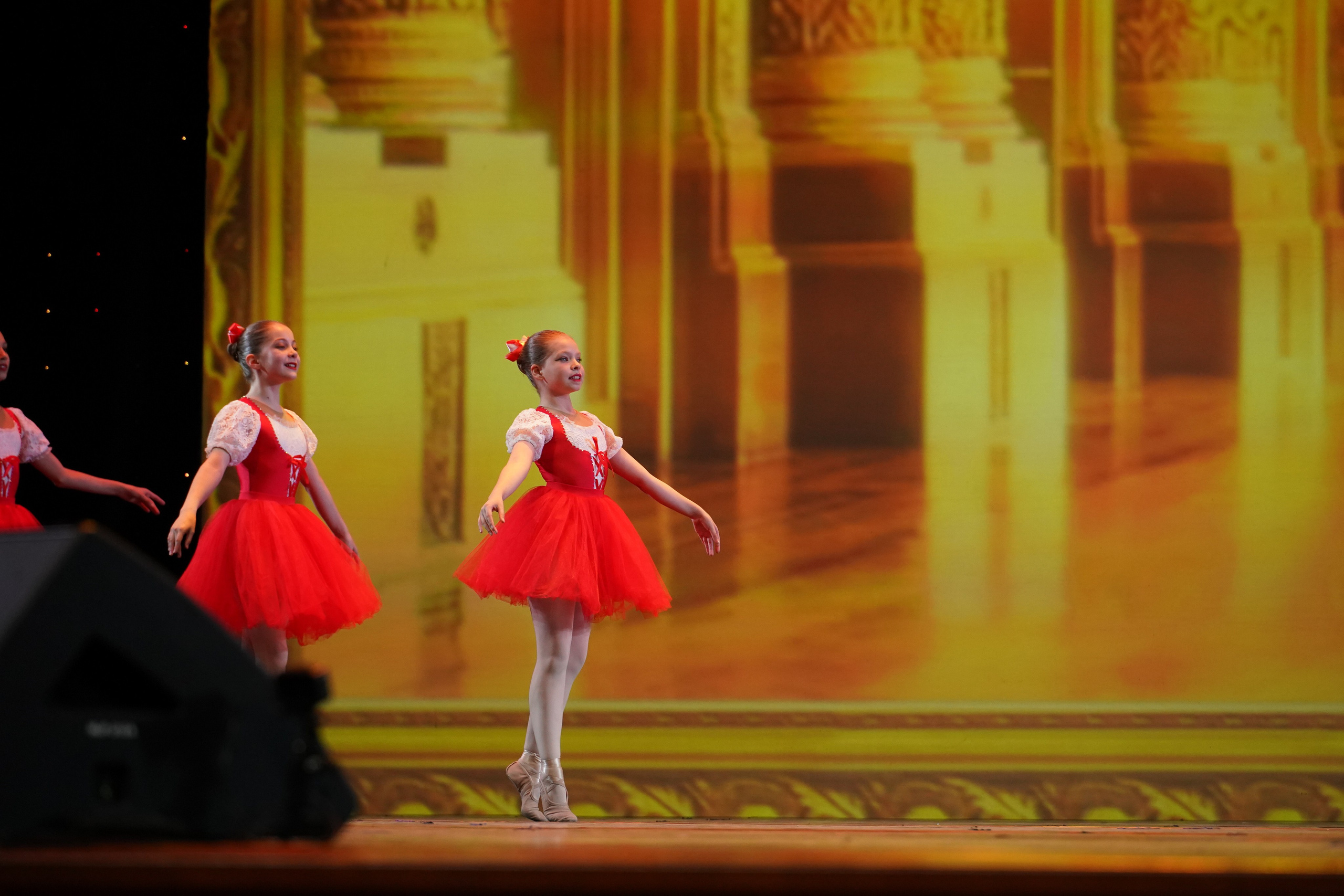 19 мая, отделение 1, г. Москва, Кремль. Золотое яблочко