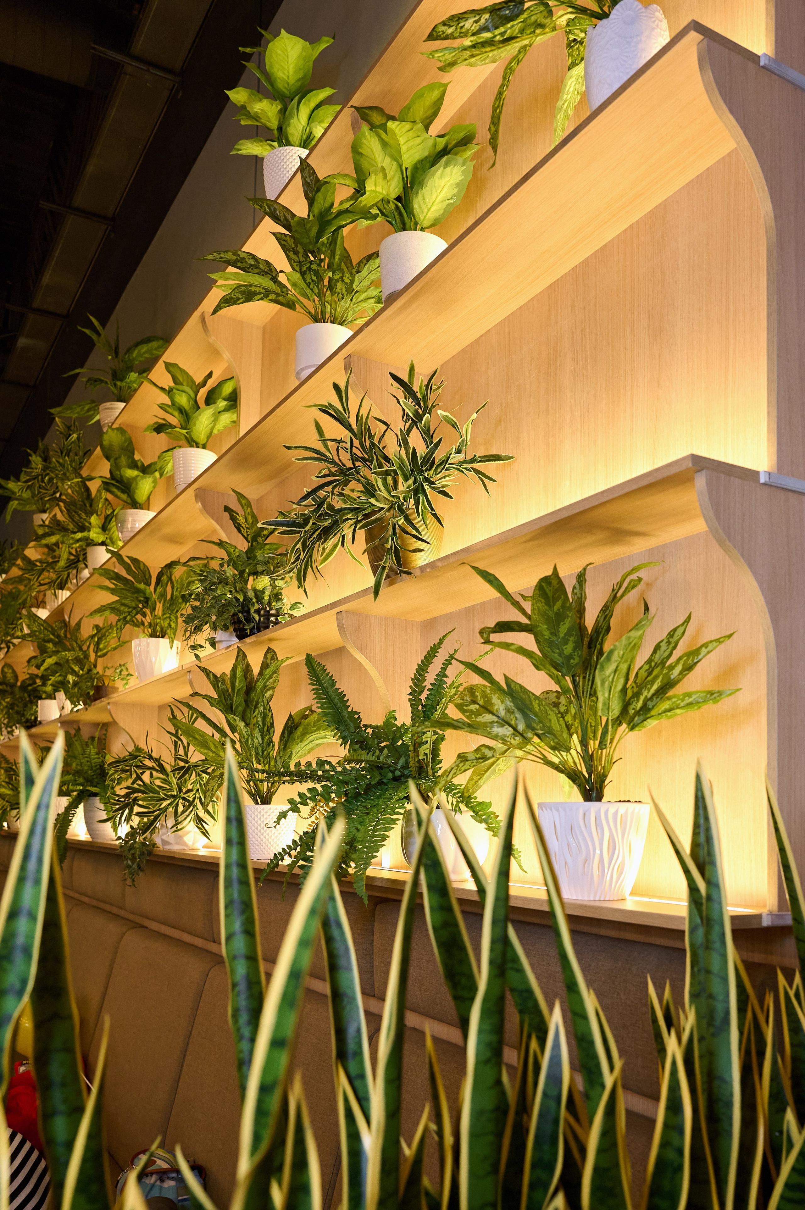 Перчини. Фотограф Опыт Качество Скорость Горный Алтай Барнаул