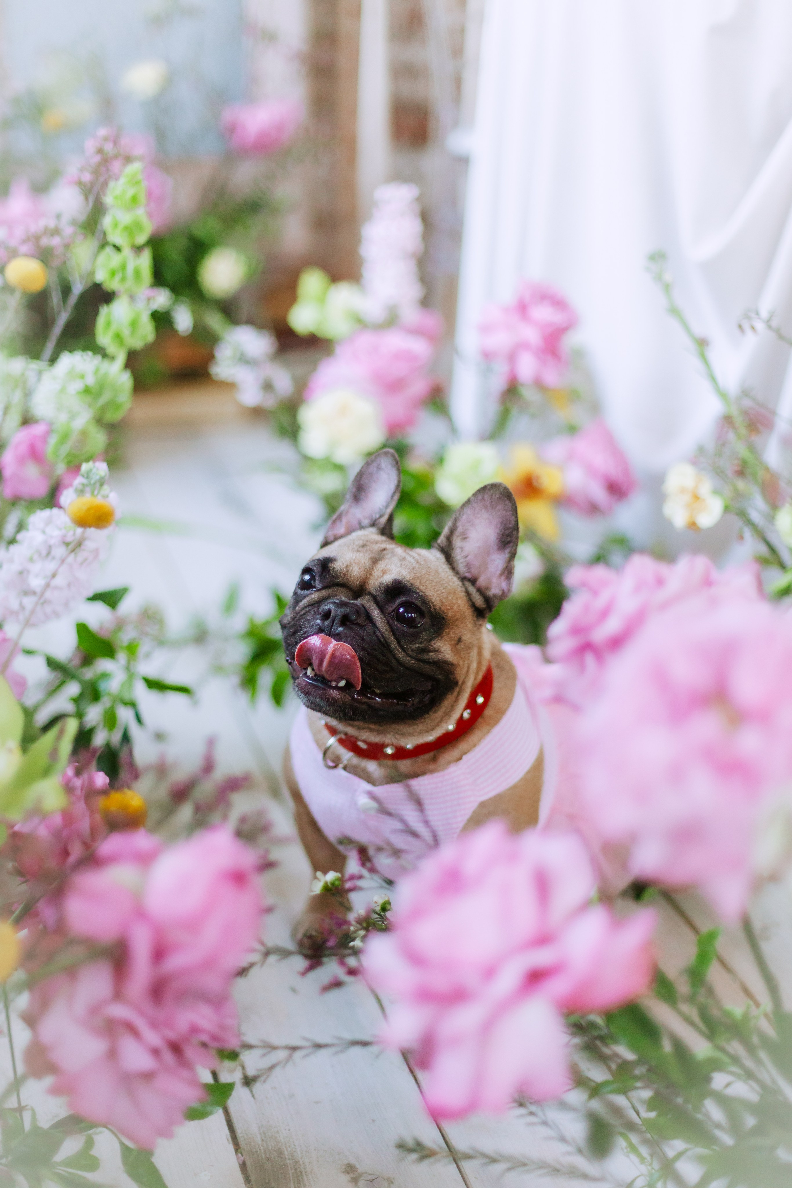 Наталья и Фрося. Фотограф-анималист Татьяна Степанова