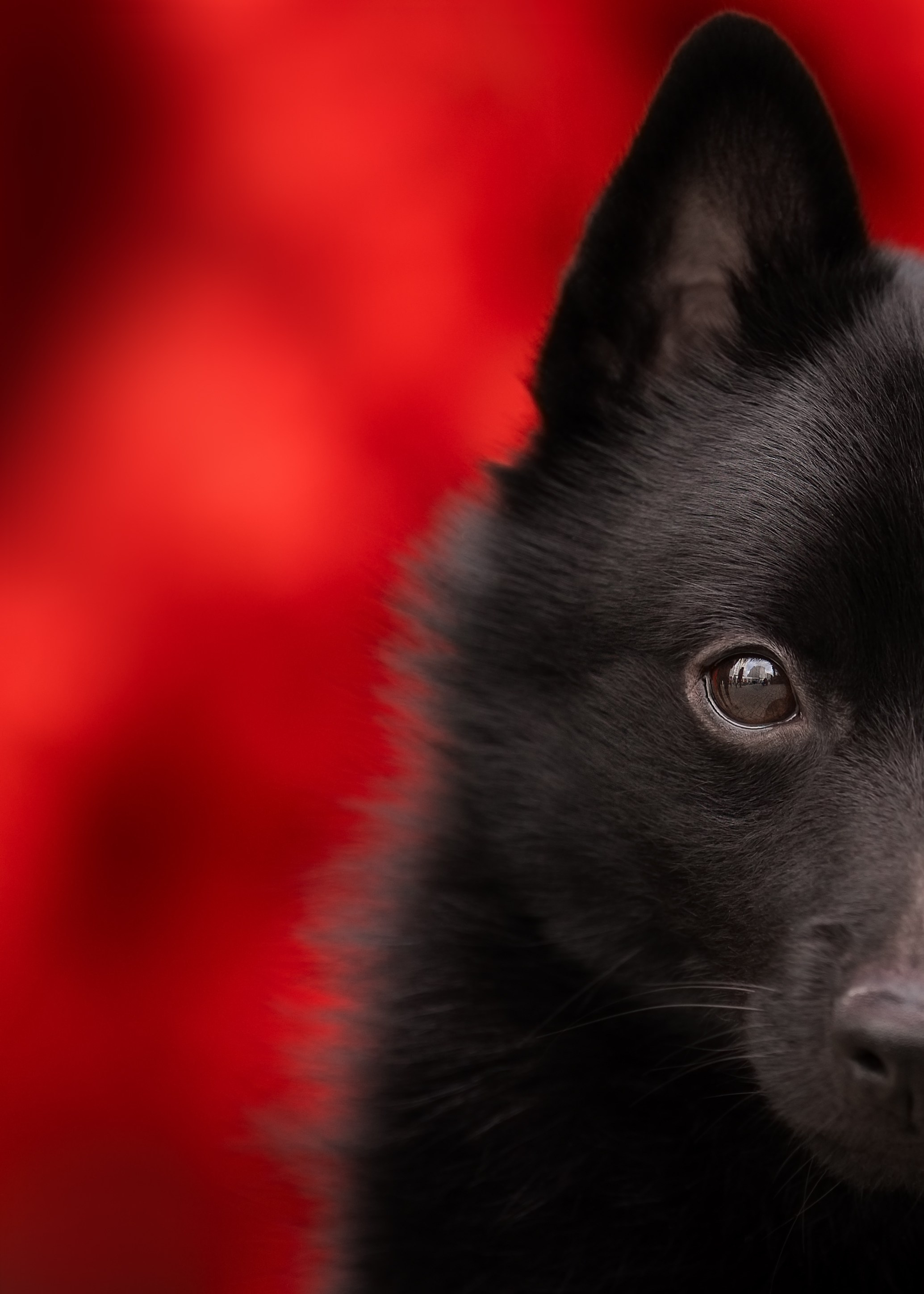 НОУЗВОРК 1–4 мая