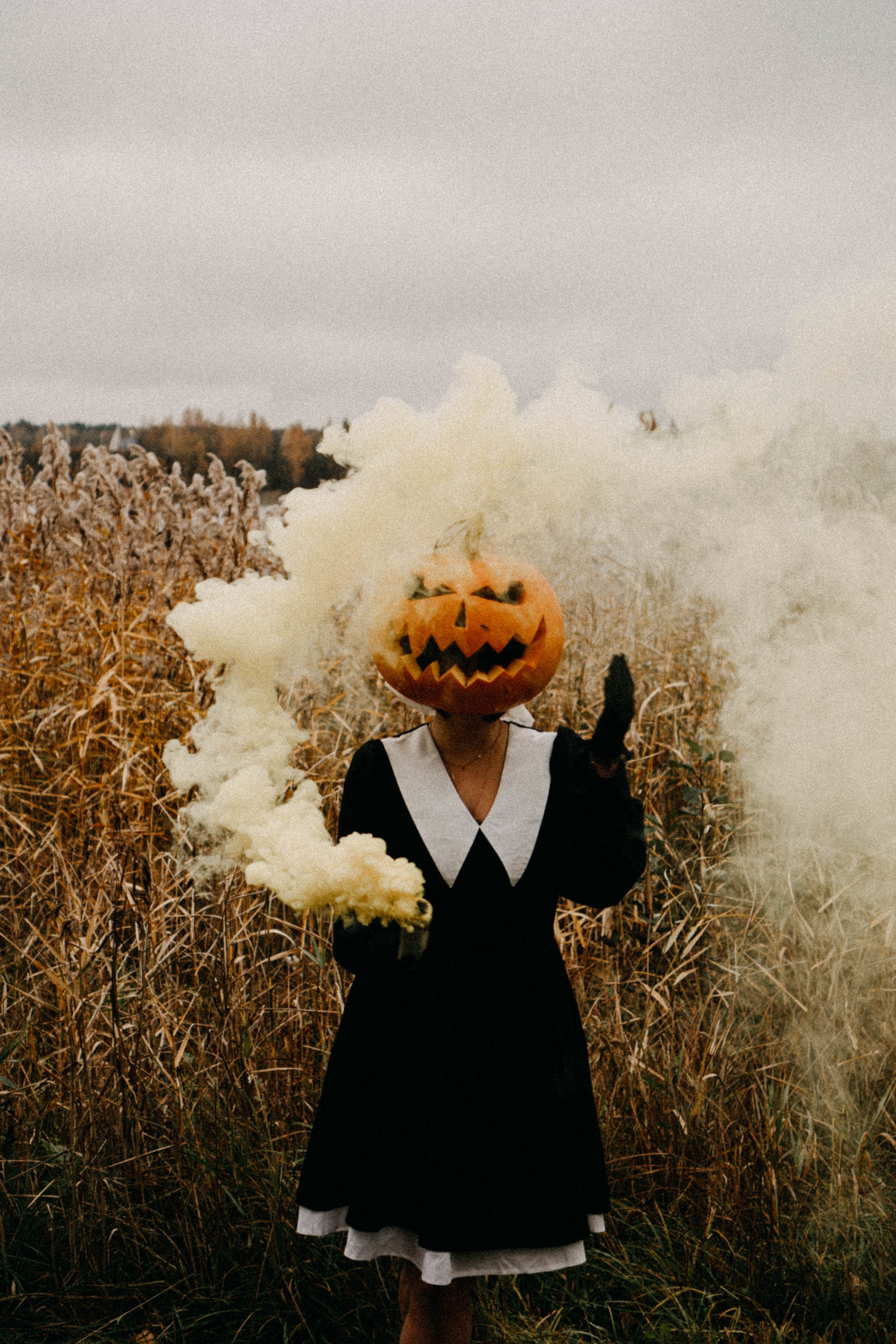 Осеняя. Профессиональный фотограф, Санкт-Петербург — Виктория Богомолова