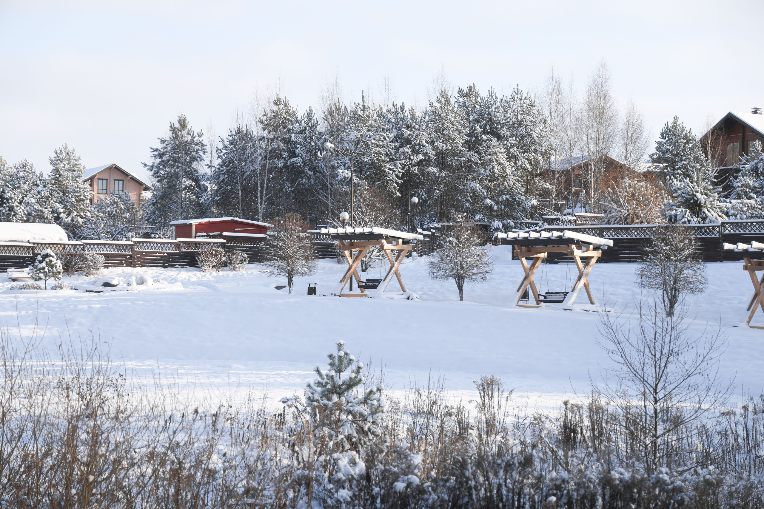 Рождествено Зима 2026. Фотограф Максим Татаринов