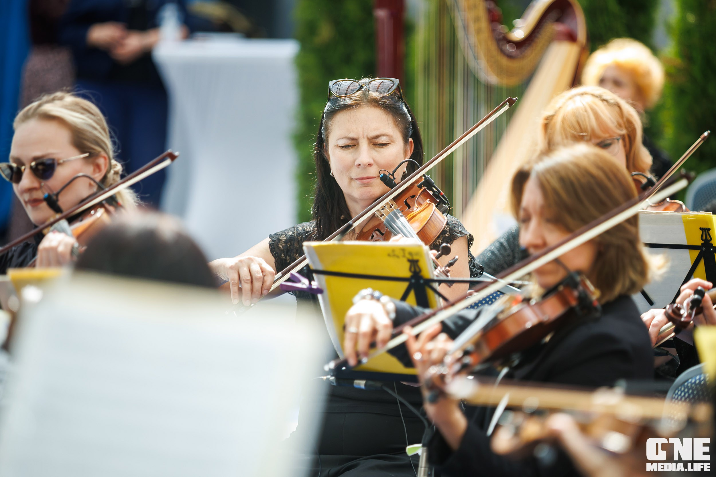 Фоторепортаж с первого дня Симфонии ветра. One Media Life: фоторепортажи, фотоотчеты с мероприятий и заведений