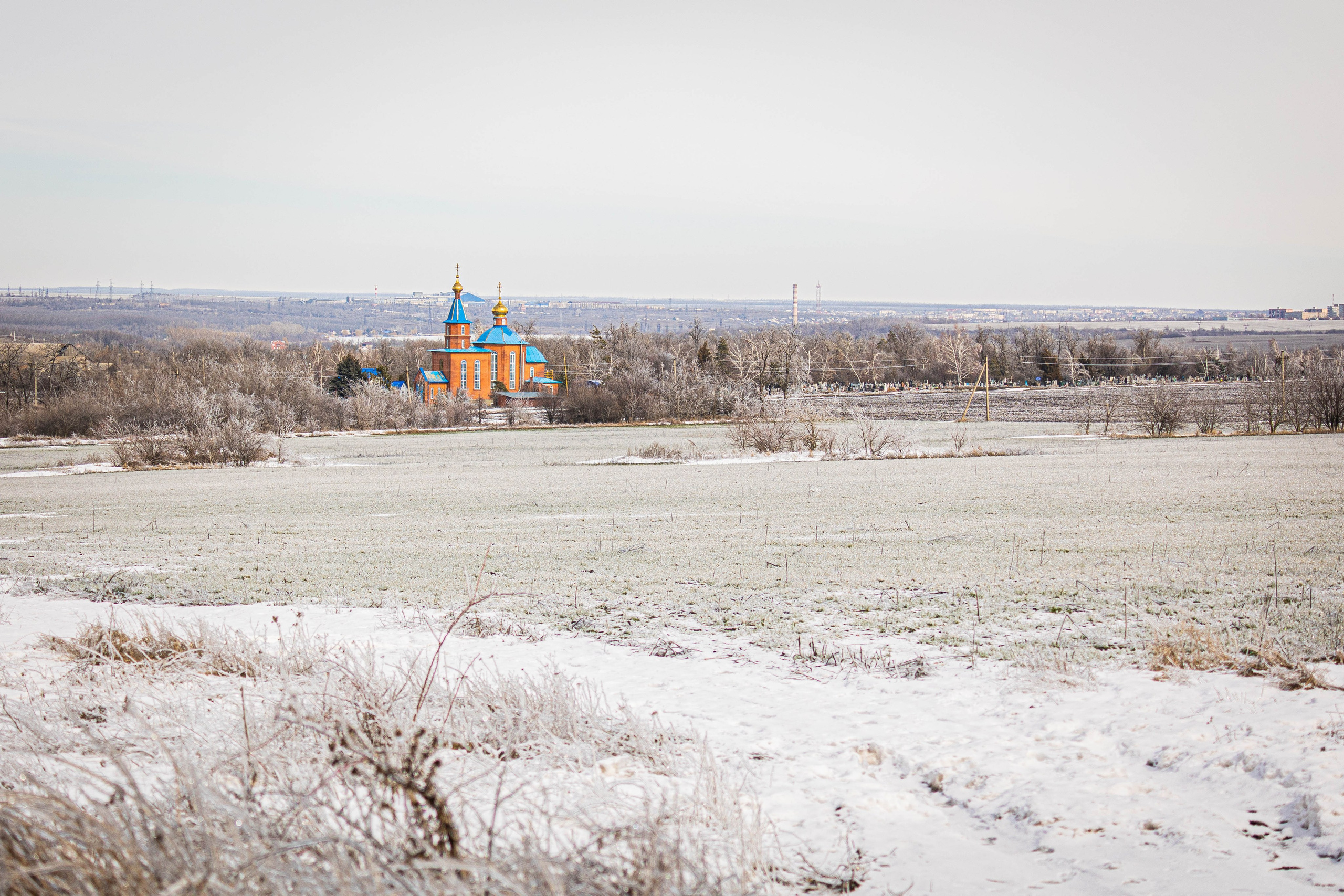 Дикий животный мир. Фотограф-АниМалист Анна Абрамова