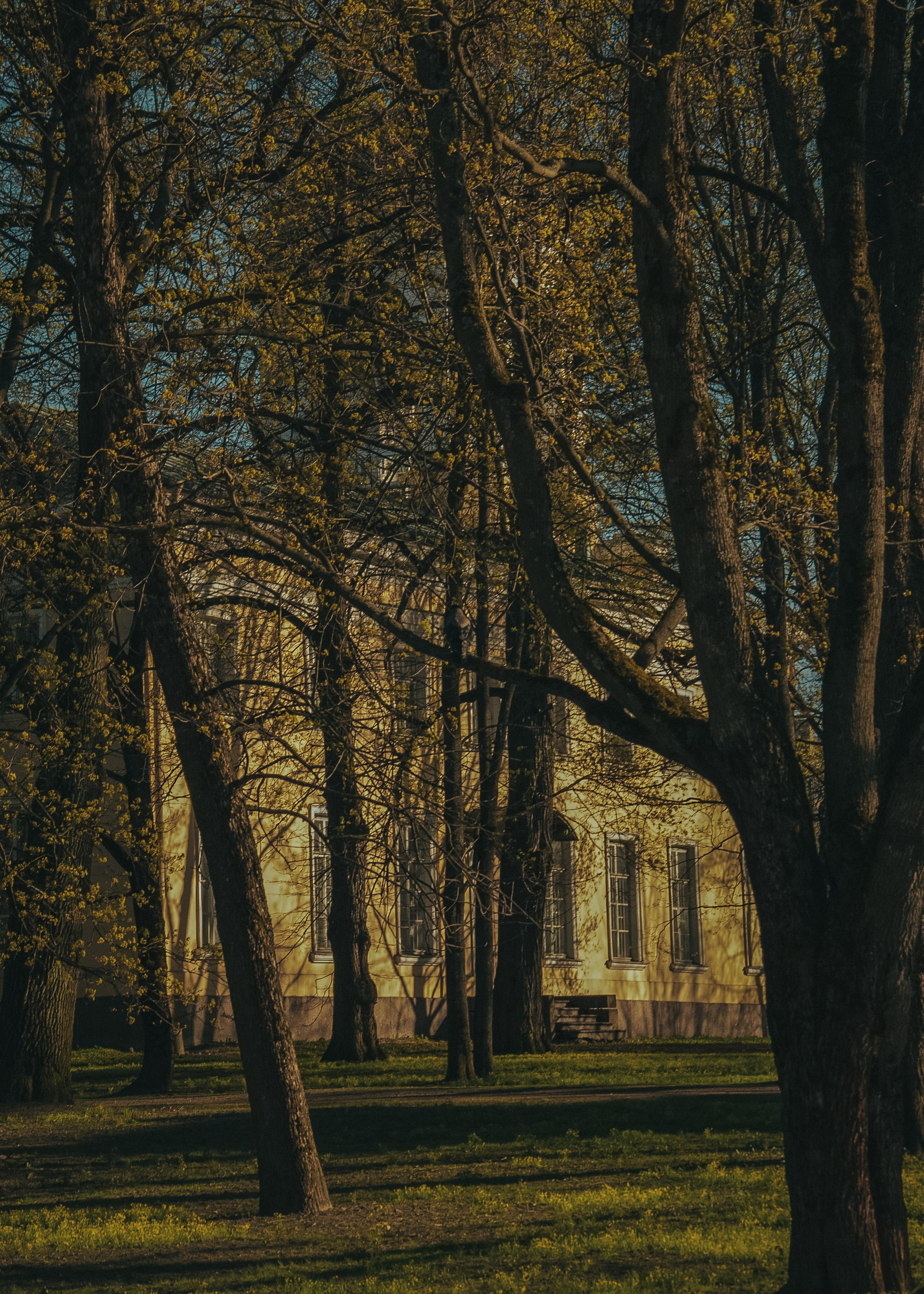 Выборг. Портретный фотограф DanilNabody