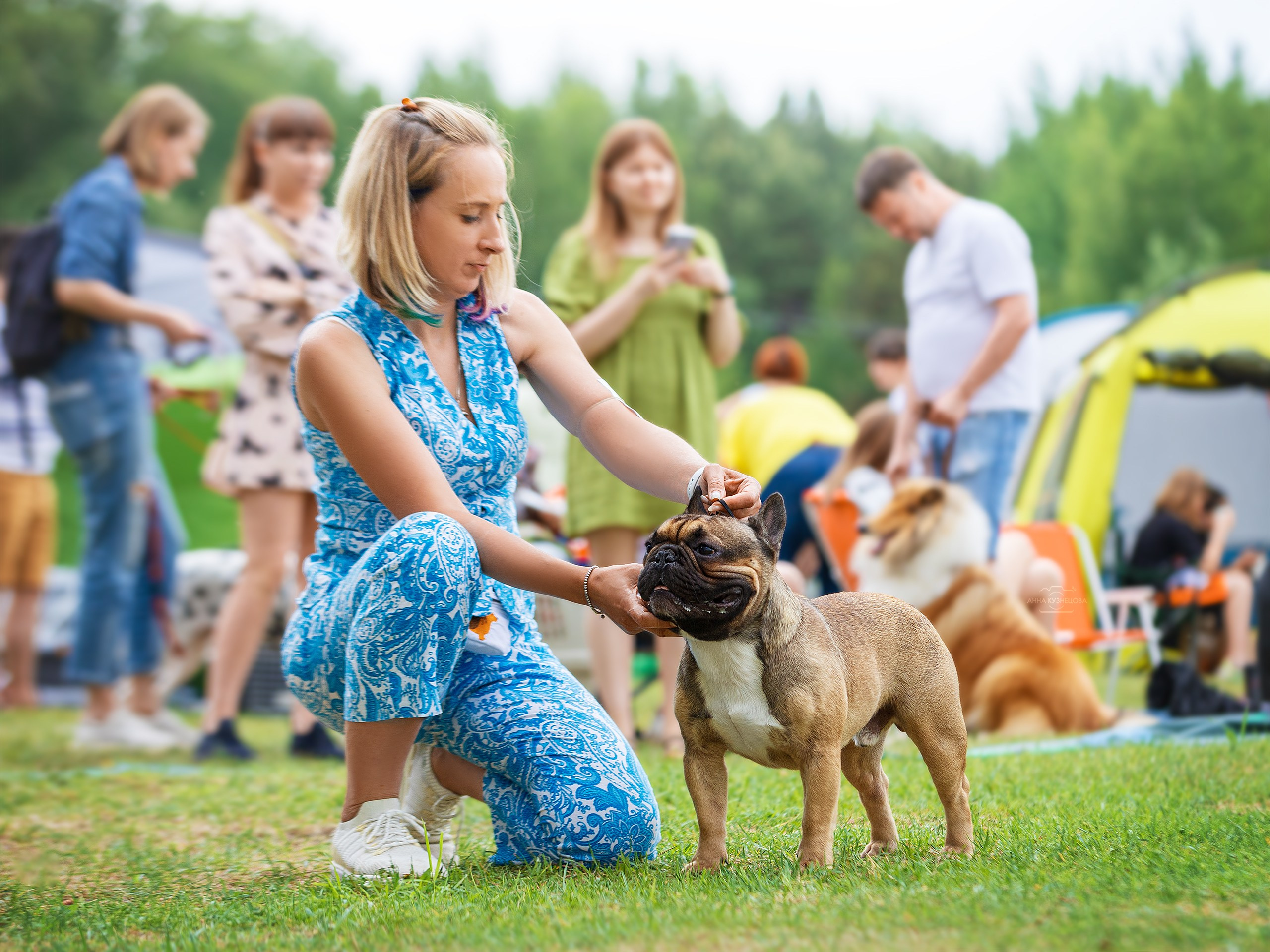 В ринге. Фотограф анималист Кузнецова Анна Нижний Новгород