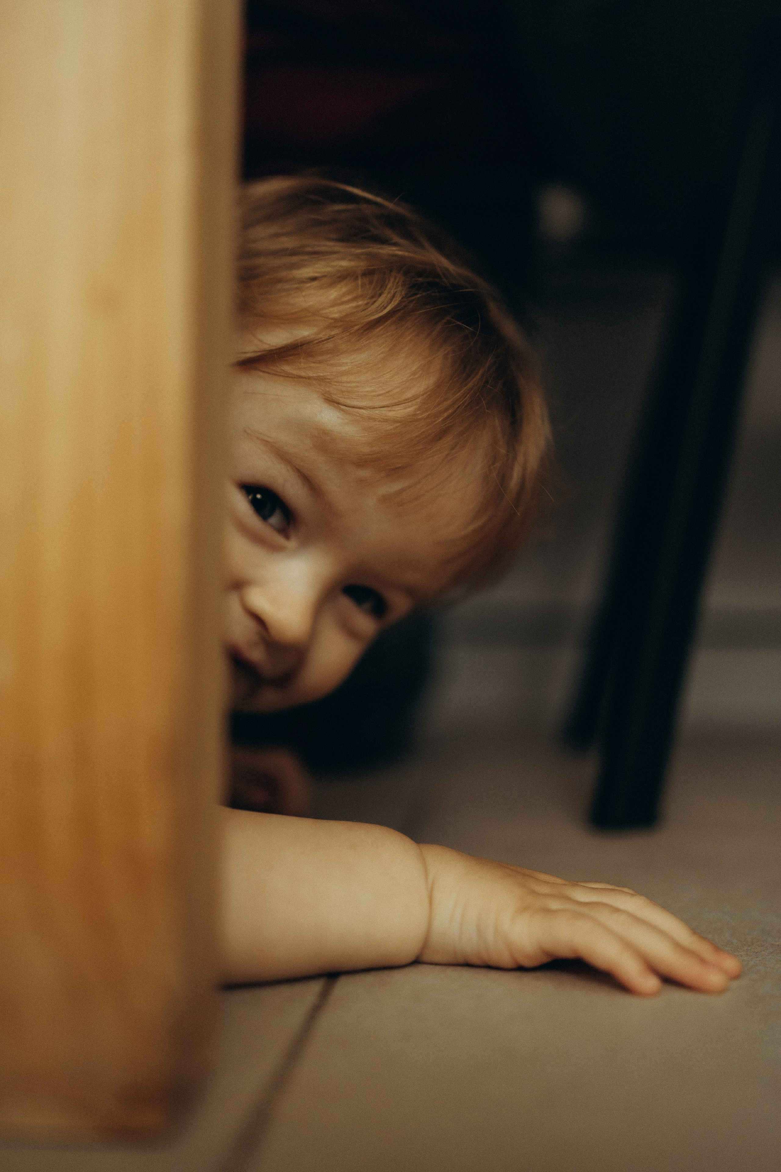 Дома кот и пироги. Фотограф Москва Алёна Суворова