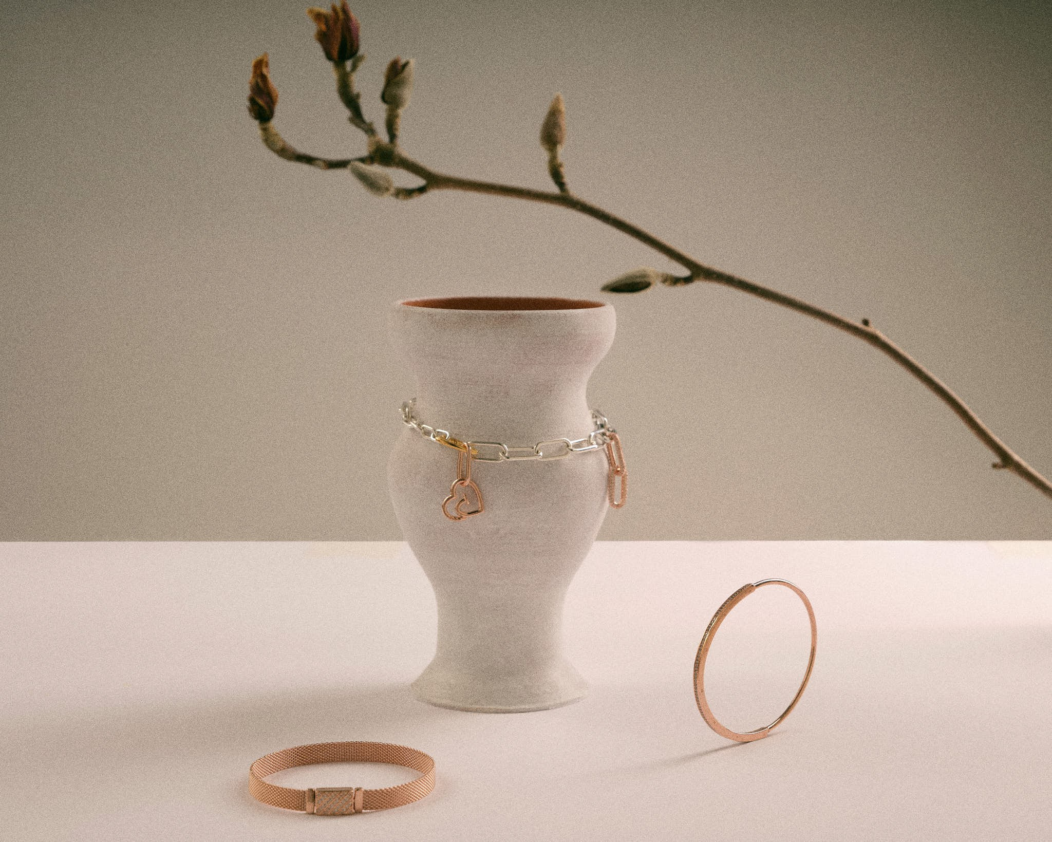 Still life. Photographer