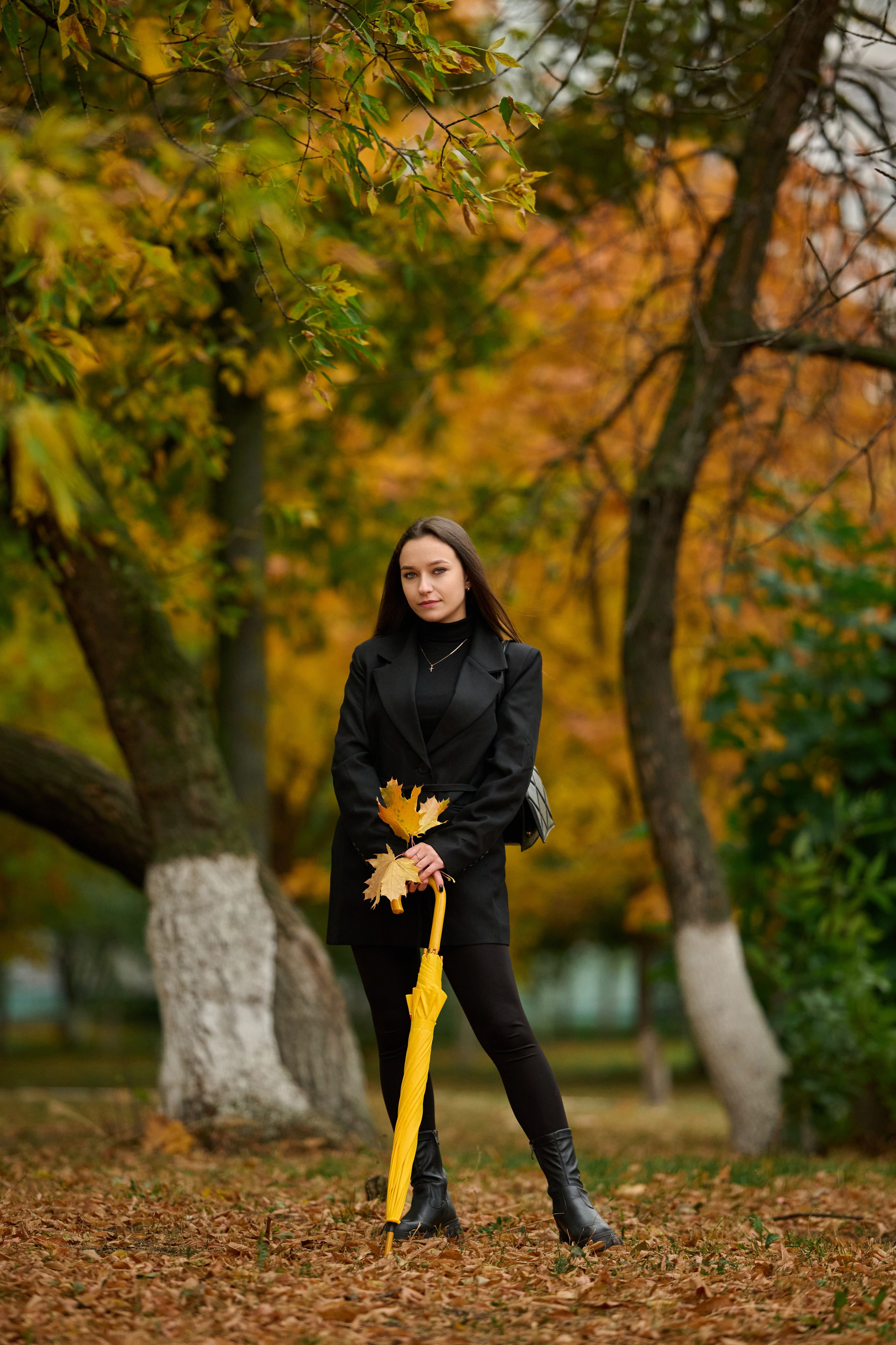Золотая осень в Старом Осколе