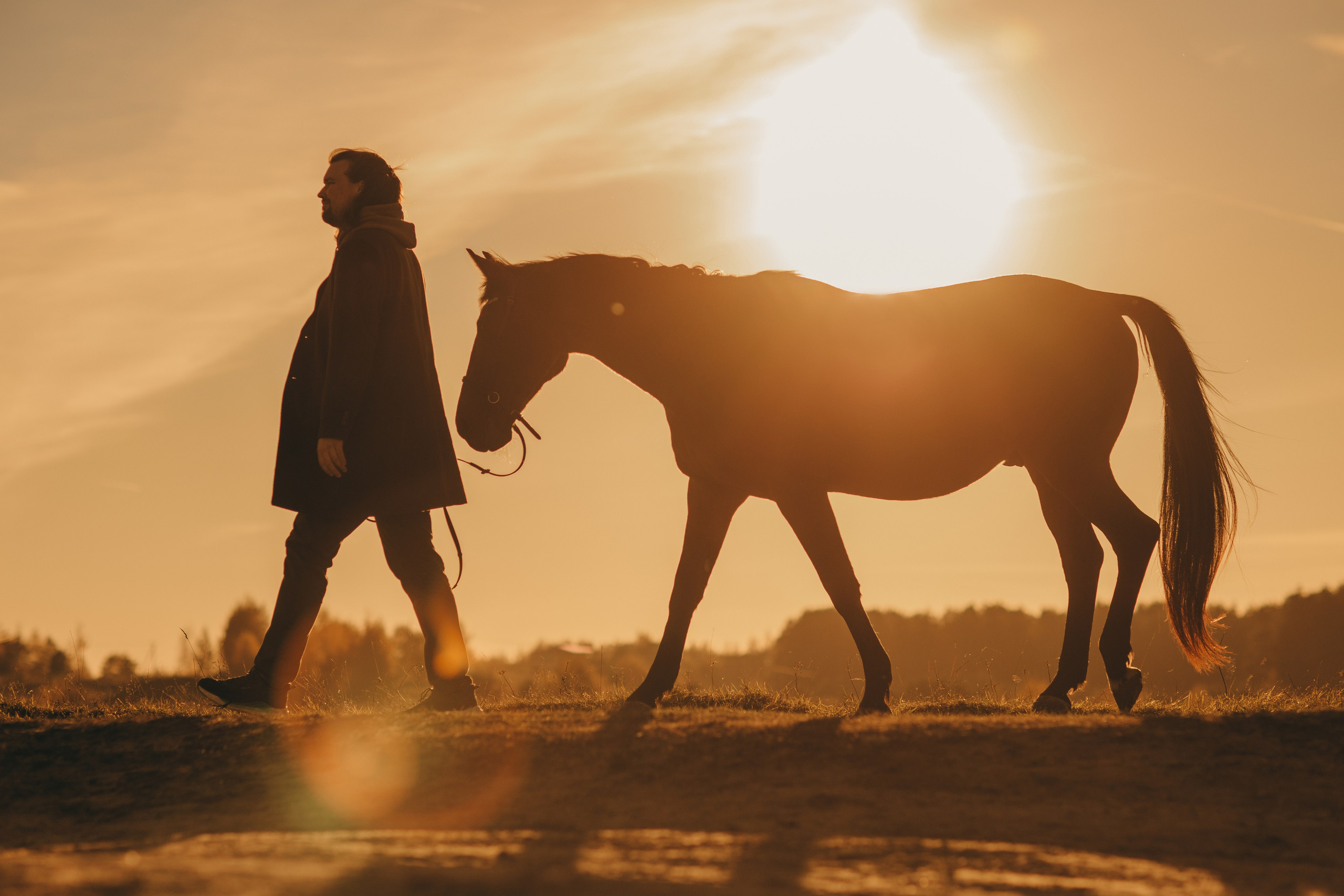 Наши пушистые дети. Главная