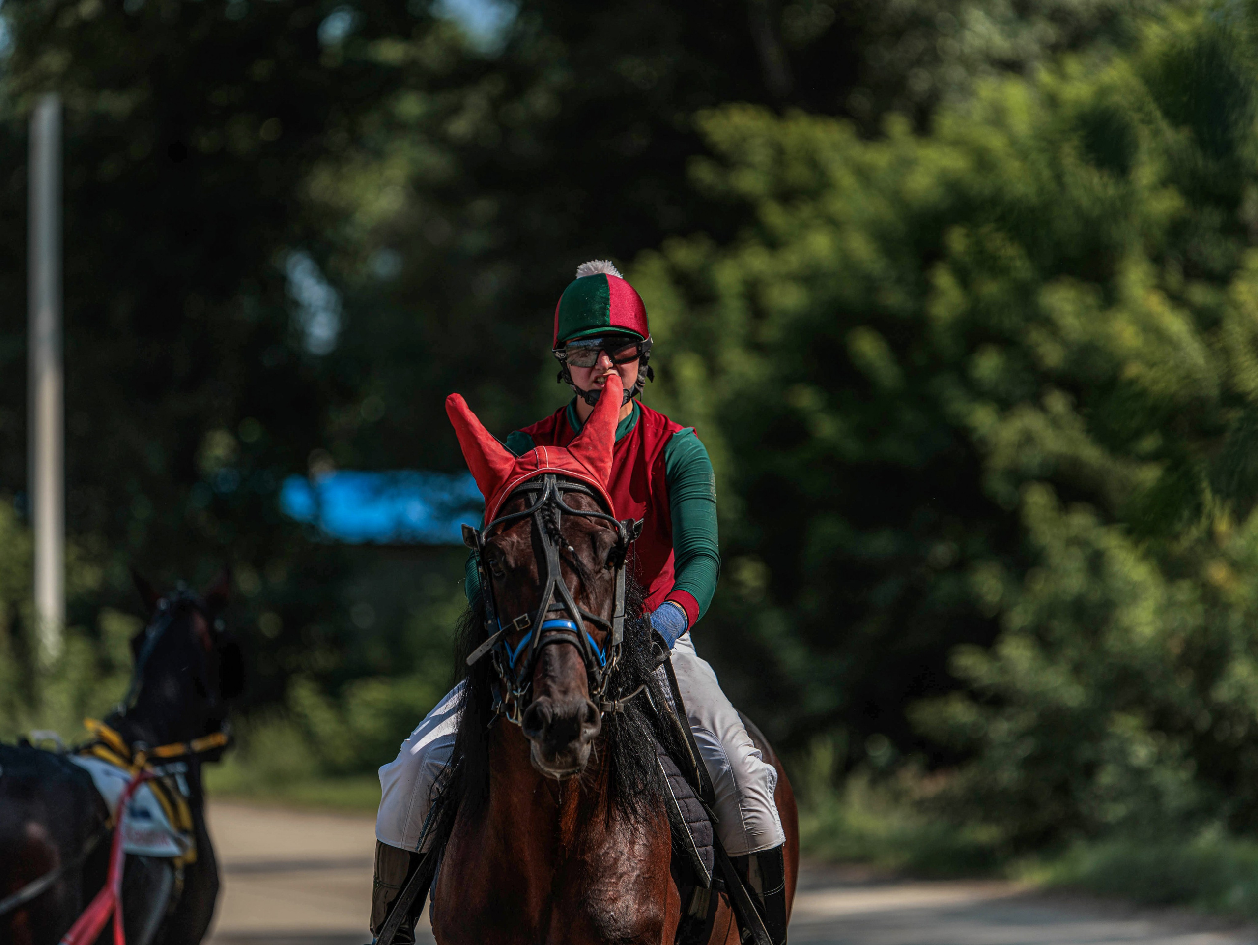 Зарисовки Абаканский ипподром 2025. Конный фотограф в Красноярске — Любовь Похабова