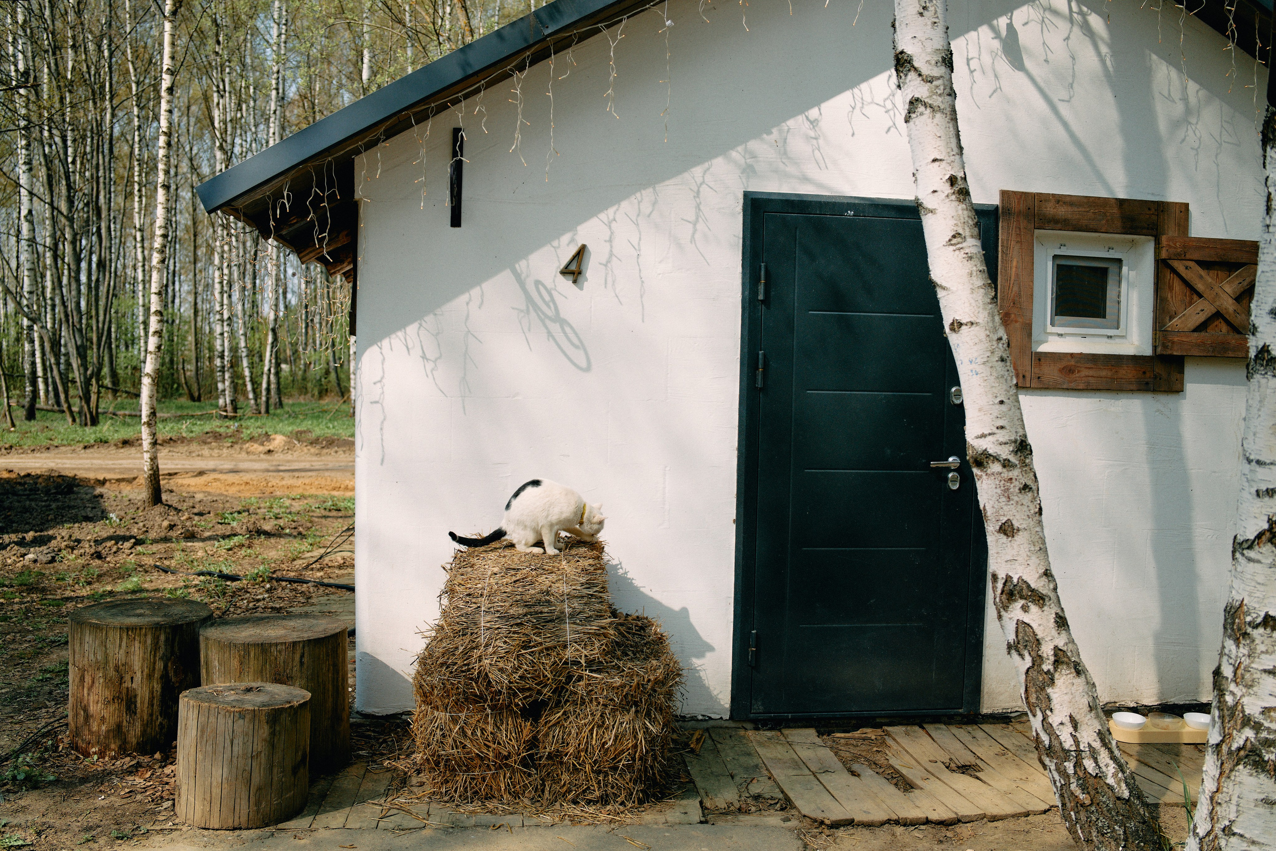 Бутик-отель Поле летом. Профессиональный Фотограф во Владимире, в Москве и в Суздале — Полина Романычева