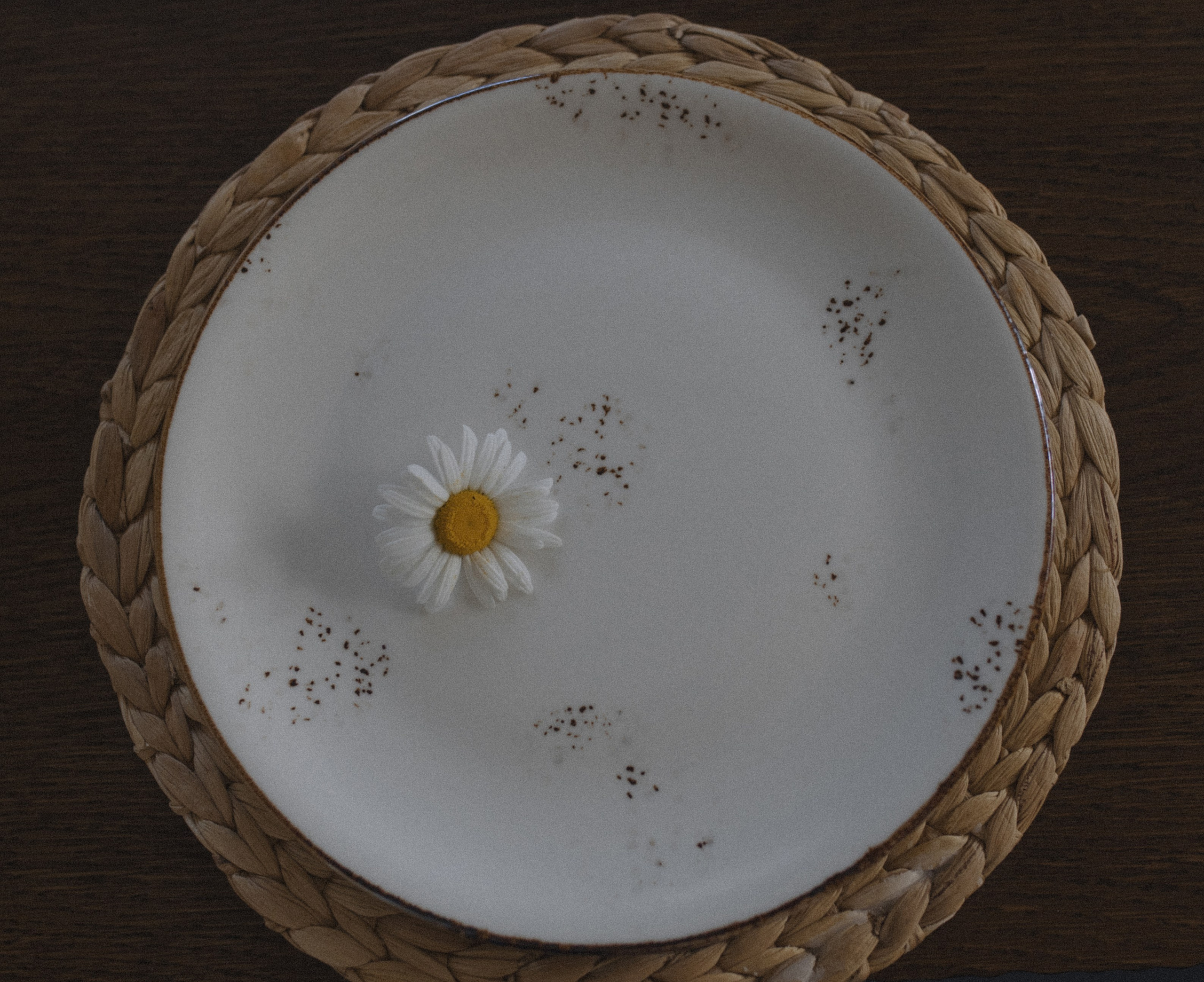 Во всем виновата яичница