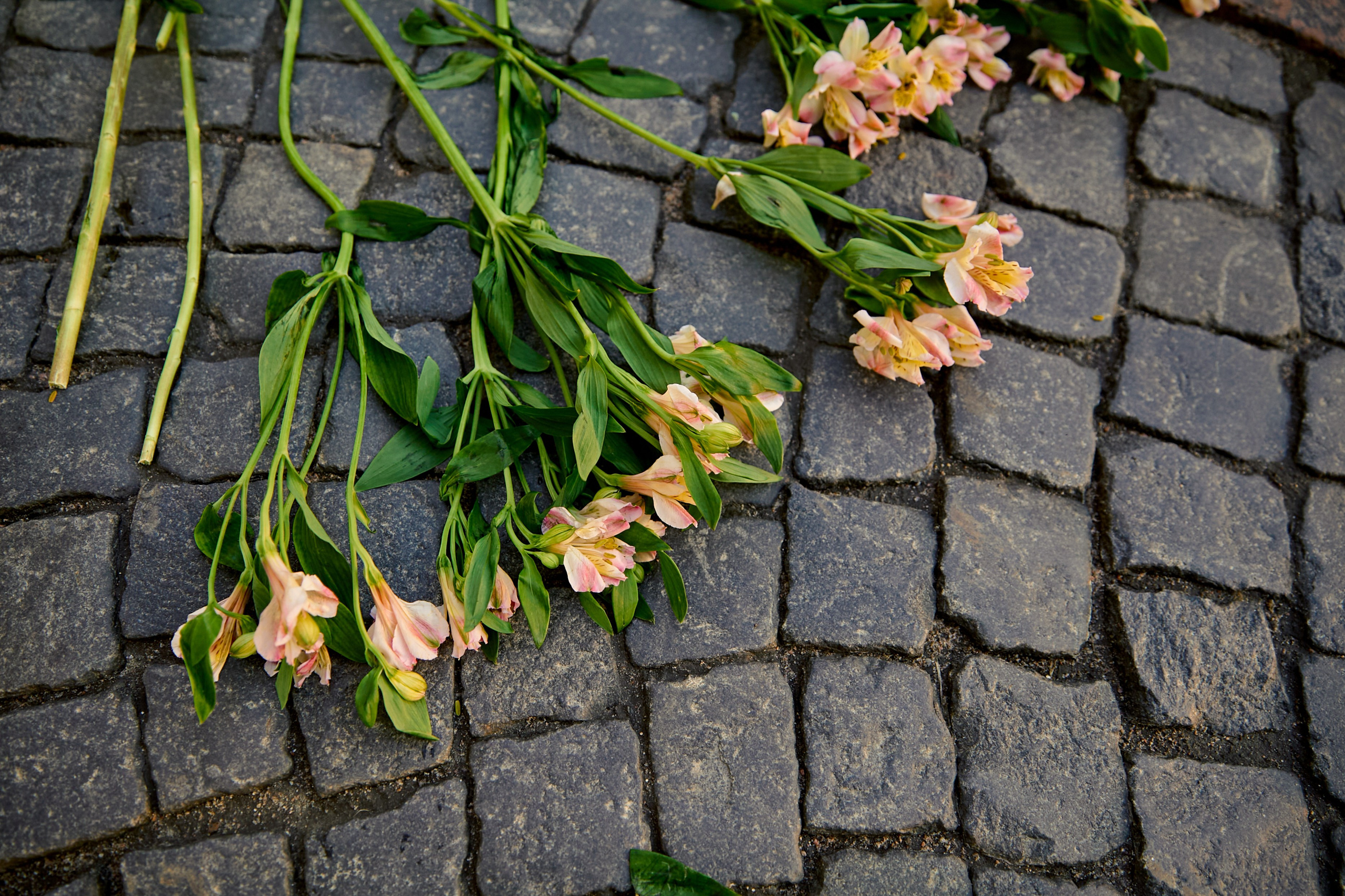 Spring flowers. Рекламный фотограф Санкт-Петербург Катерина Мишкель