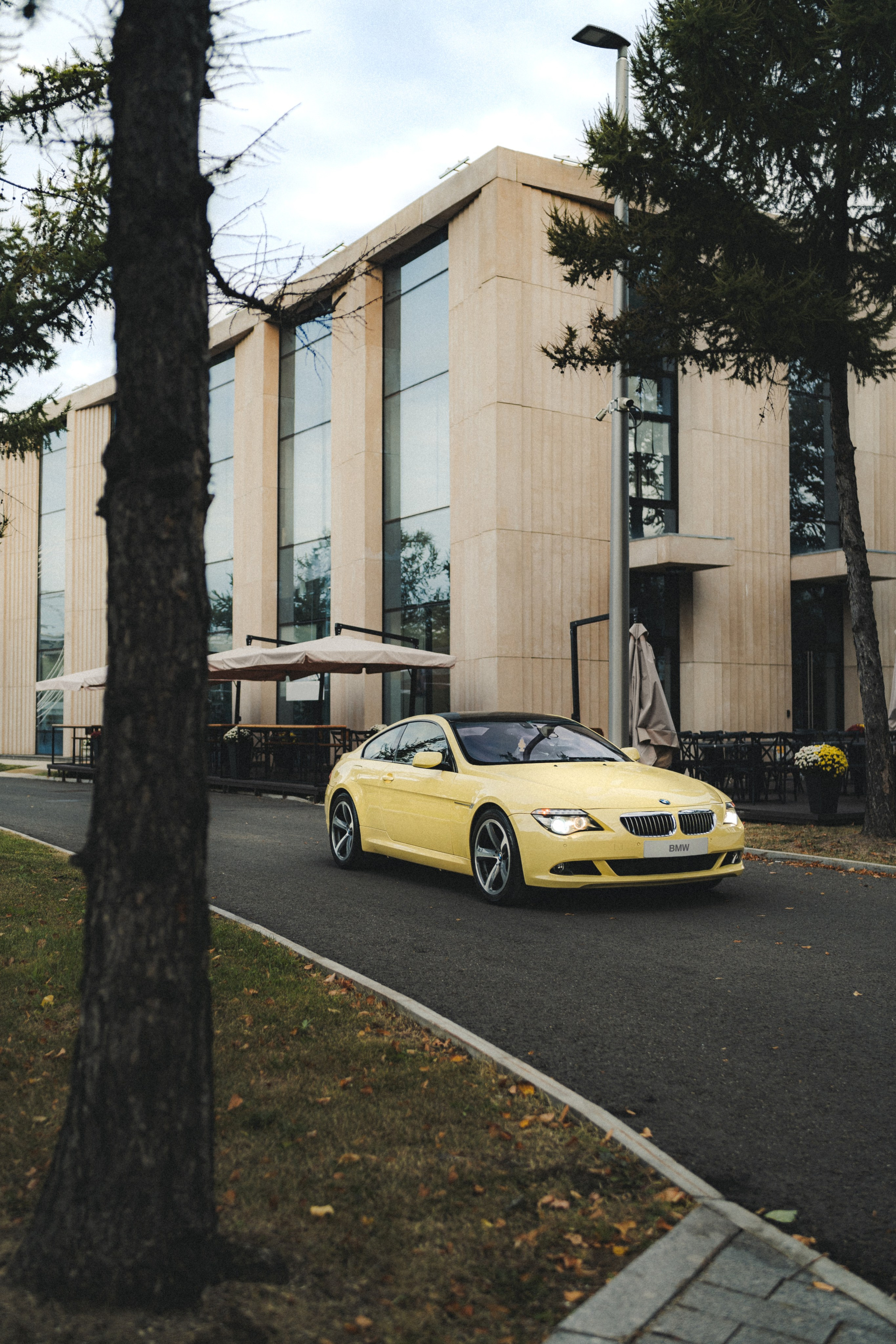 BMW 650i (Dakar Yellow). Фотограф Илья К. в Москве