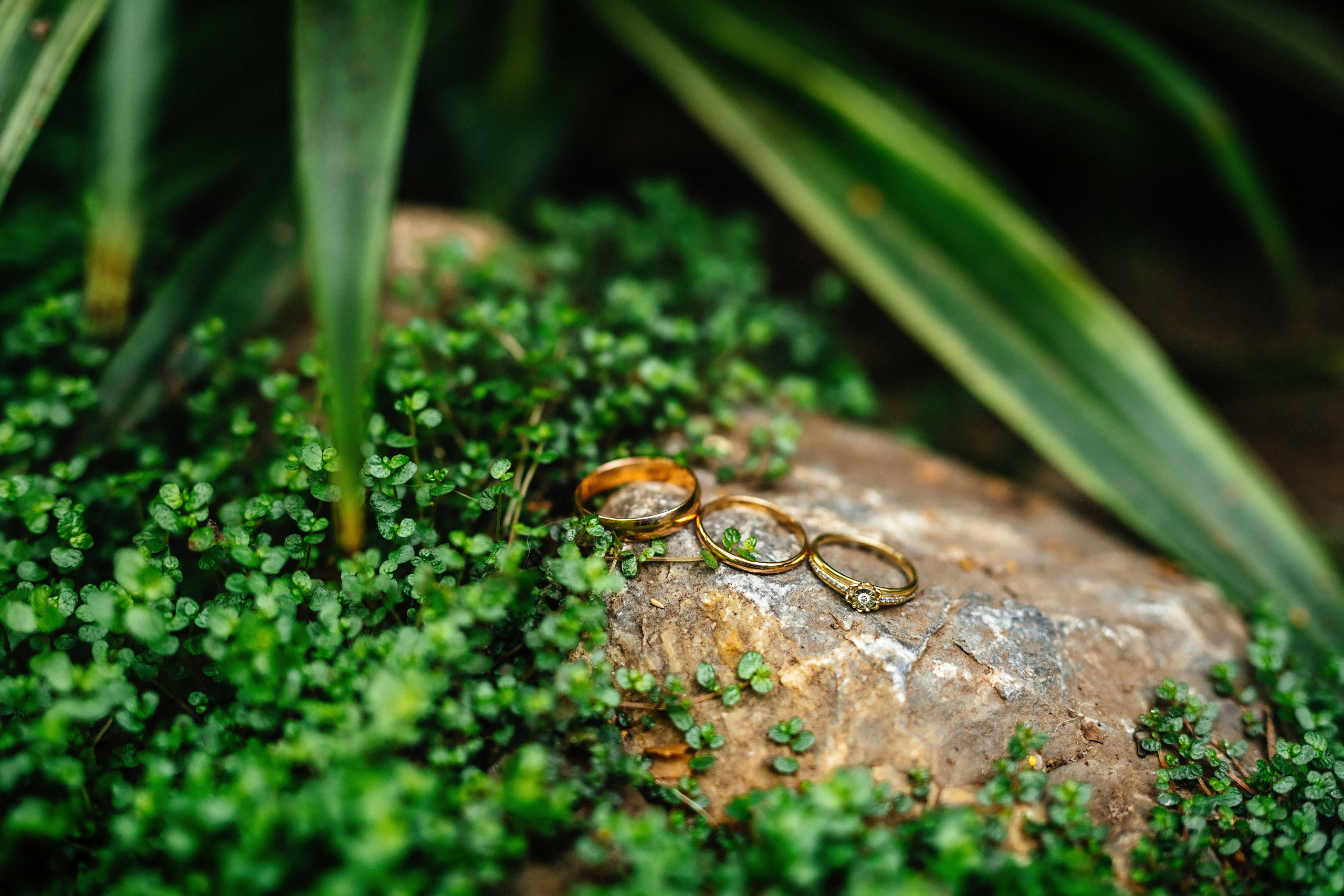 Отзывы клиентов - Фотограф Томск. Свадебный фотограф в Томске Екатерина Дмитриева