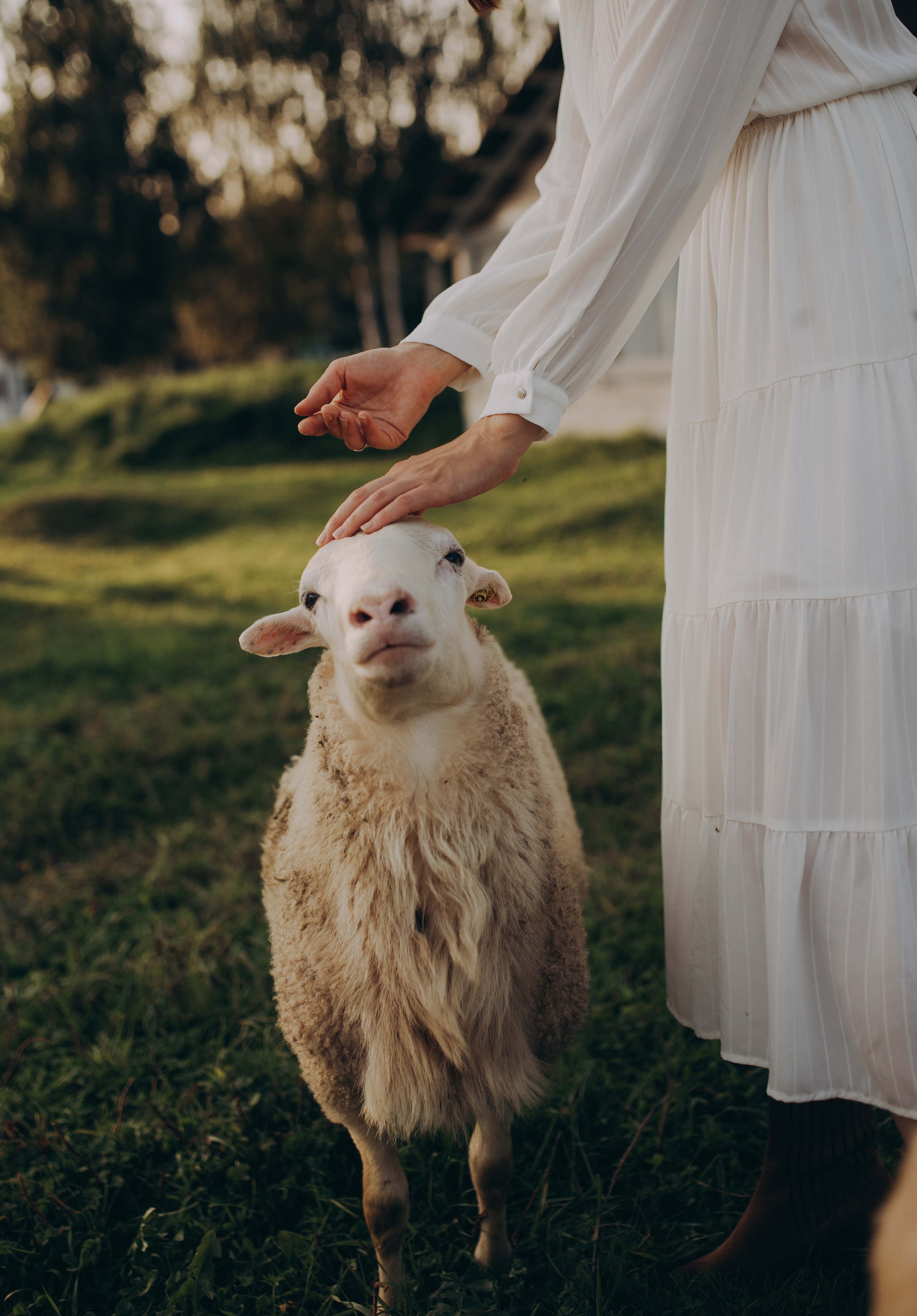 Ферма. Семейный фотограф Кристина Шахура