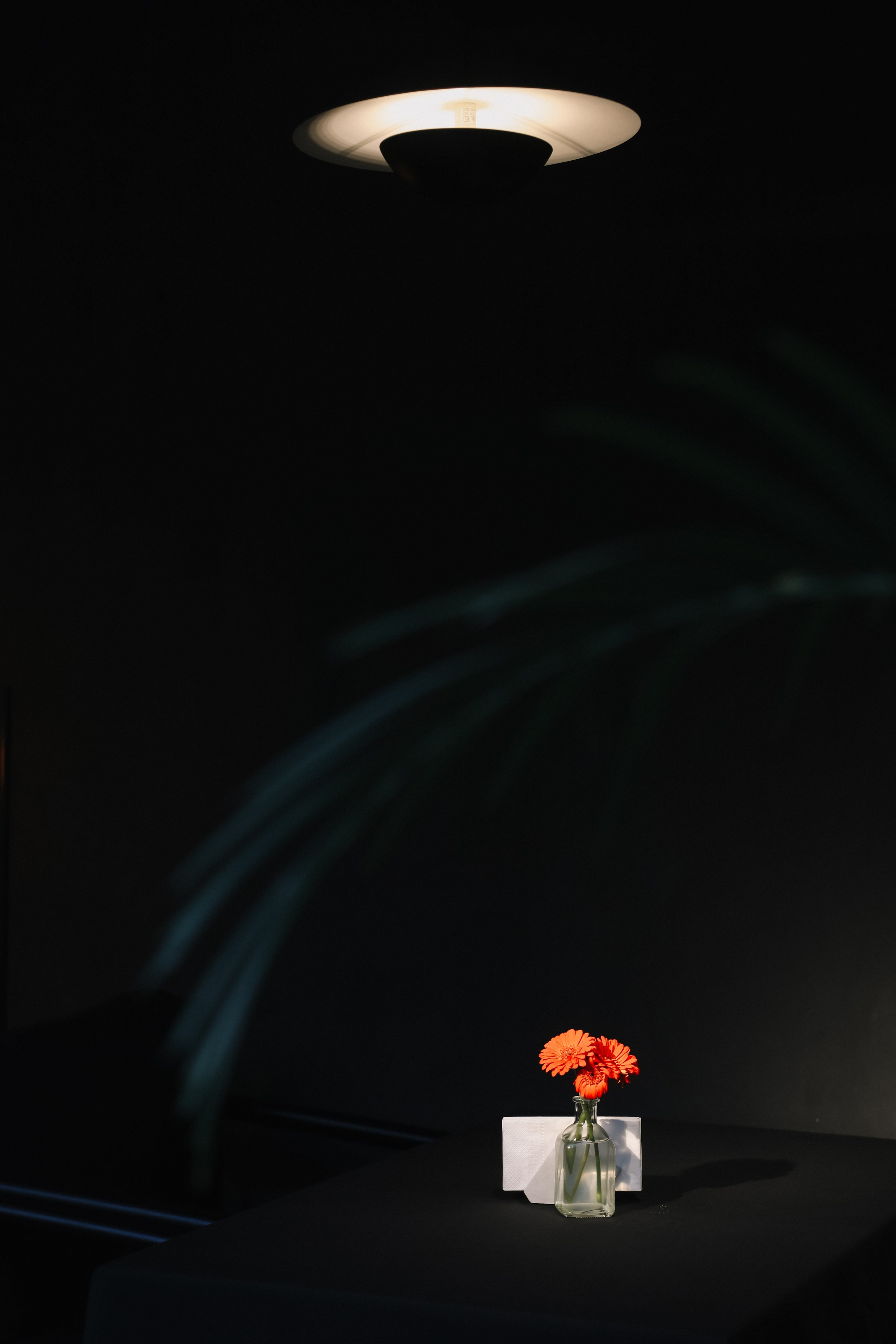 DENIS & ELIZAVETA Барвиха. Kharchenkotatianaweddingphoto