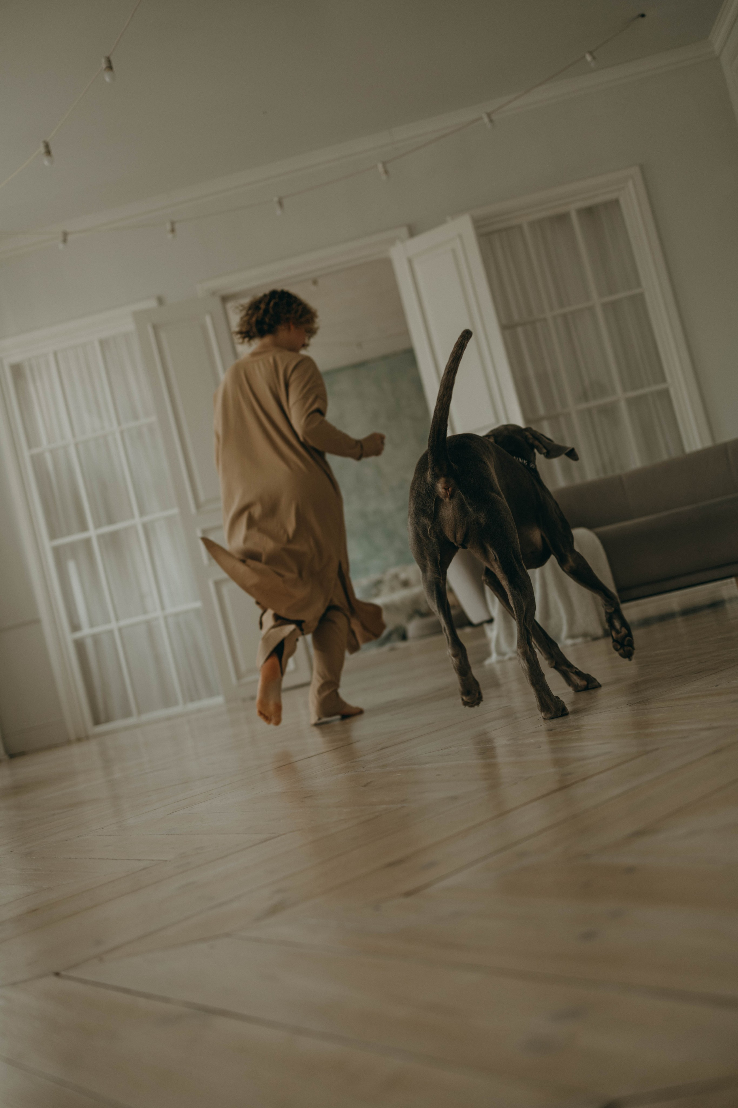 Фотосессия в студии с собакой. Фотограф-анималист в Екатеринбурге | Кристина