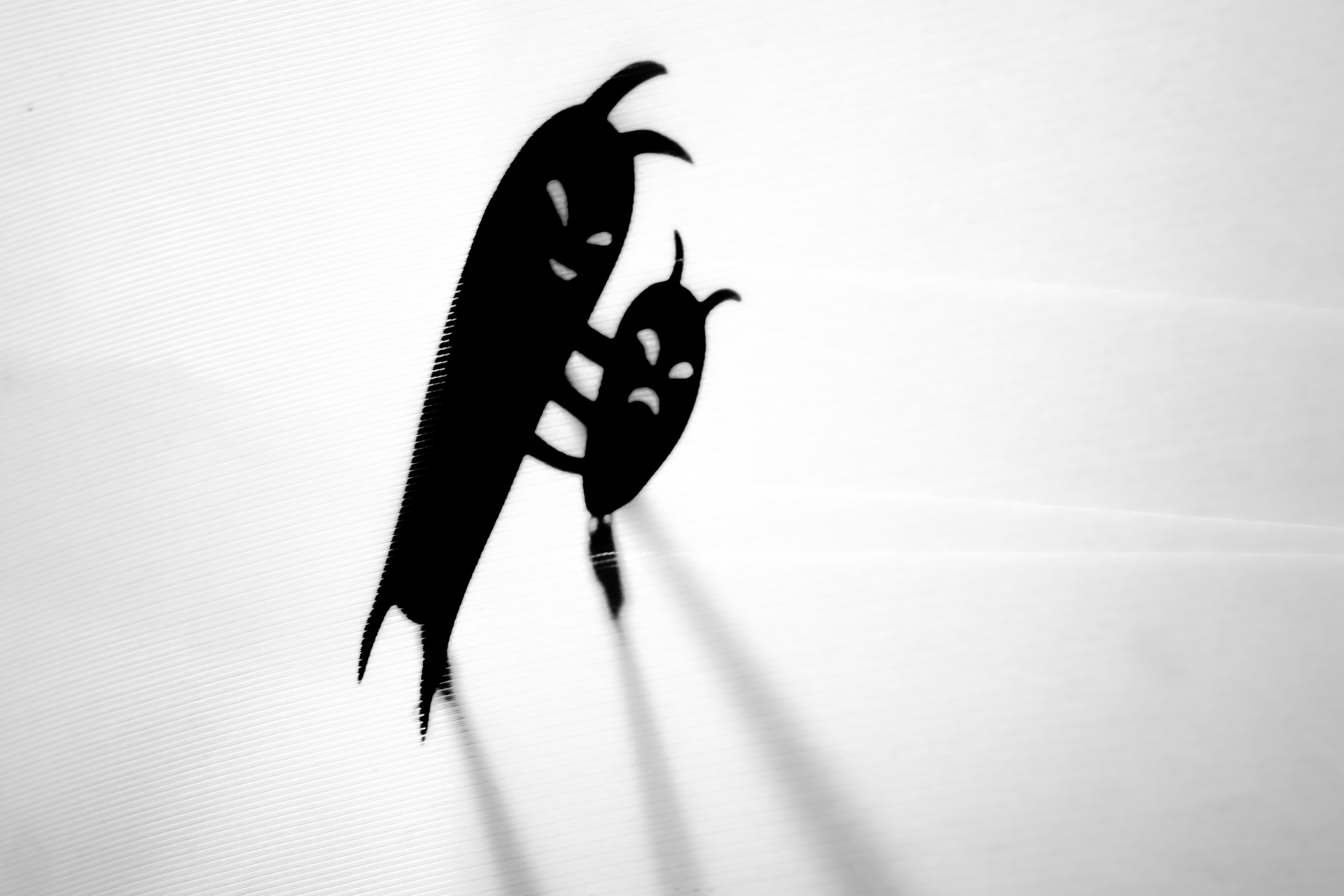 Тараканище спектакль кукольного театра Саквояж — премьера. Фотограф в Сочи Юрий Шептаев