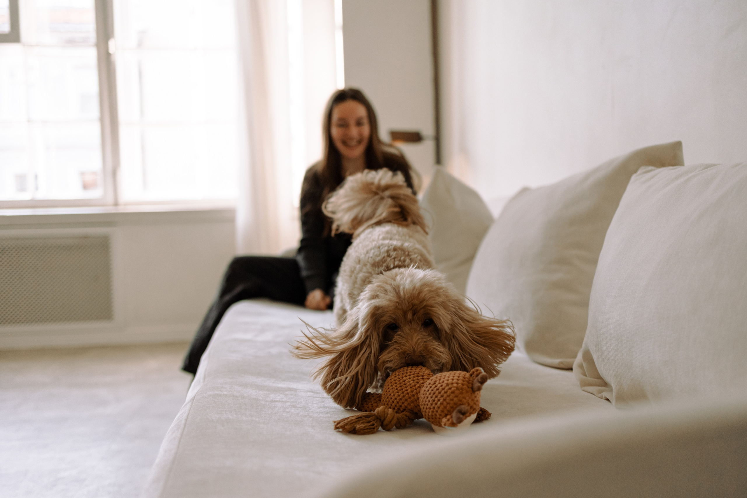 Шкипер и его семья. Фотограф — Анималист | Санкт-Петербург