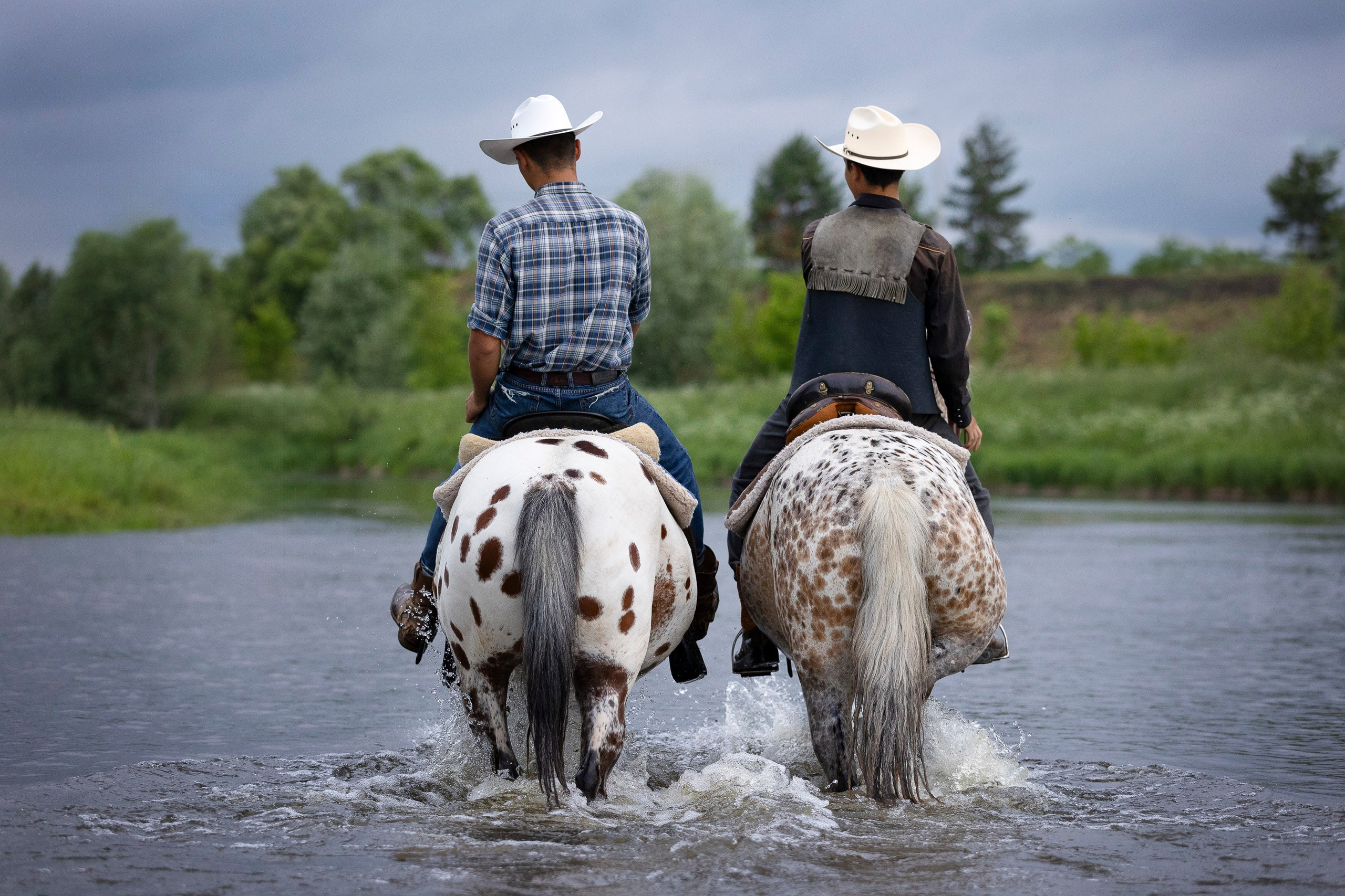 Аванпост. Фотограф анималист, семейный фотограф, фотограф собак Комратова Мария. г. Москва