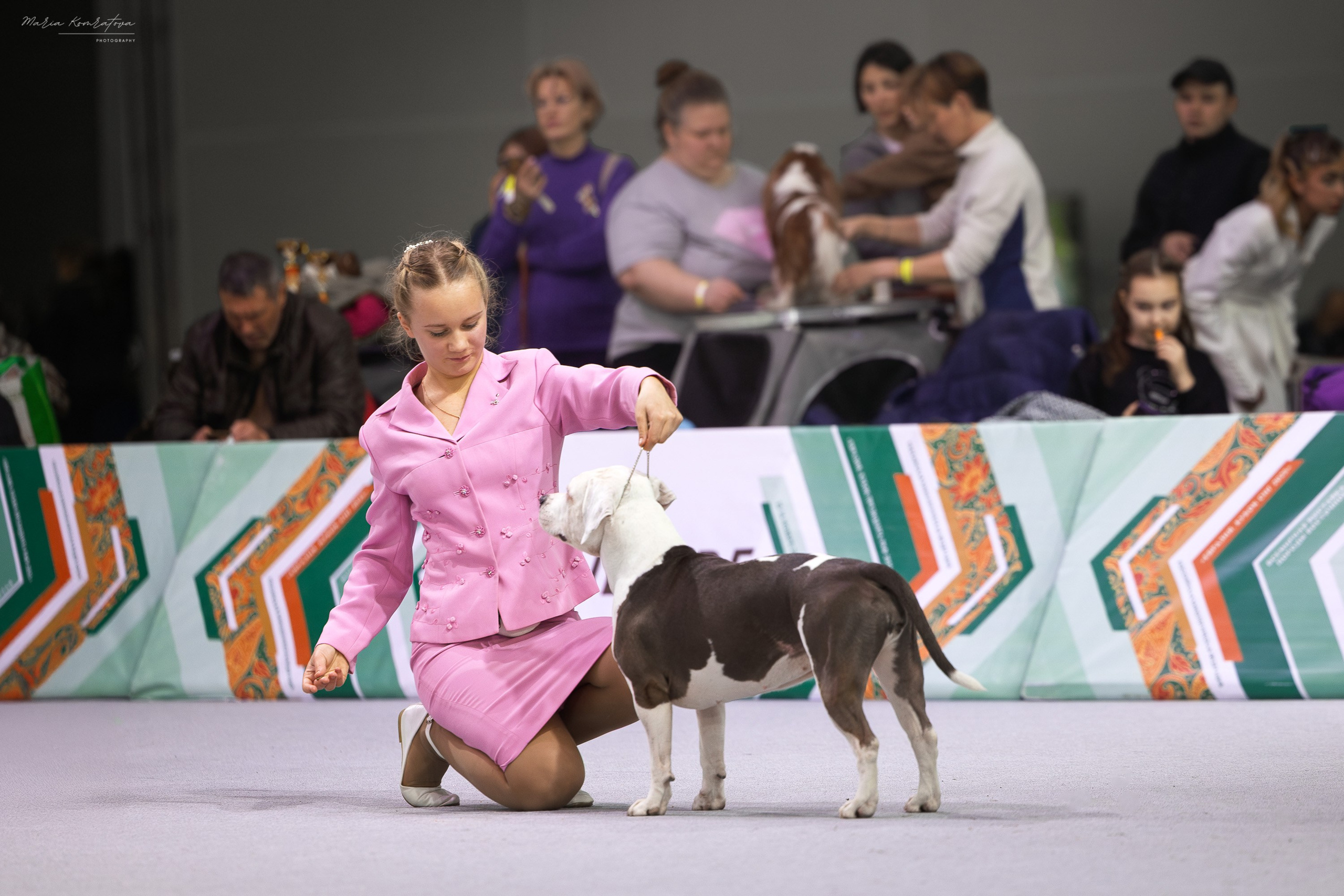 Евразия 2025 съемка в ринге на выставке собак, фотограф собак на выставке. Фотограф анималист, семейный фотограф, фотограф собак Комратова Мария. г. Москва
