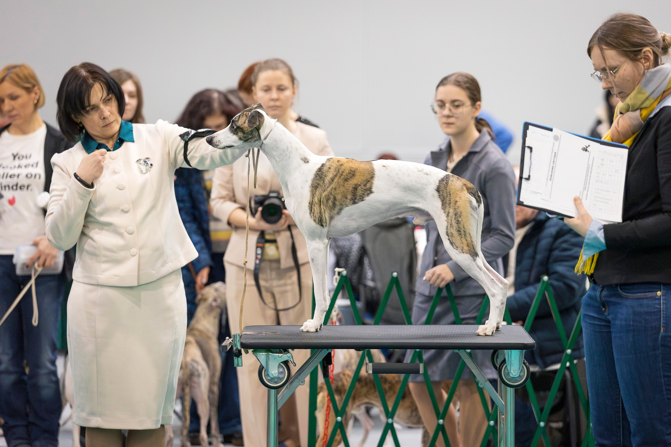 Крокус 10.02. Фотограф анималист, семейный фотограф, фотограф собак Комратова Мария. г. Москва