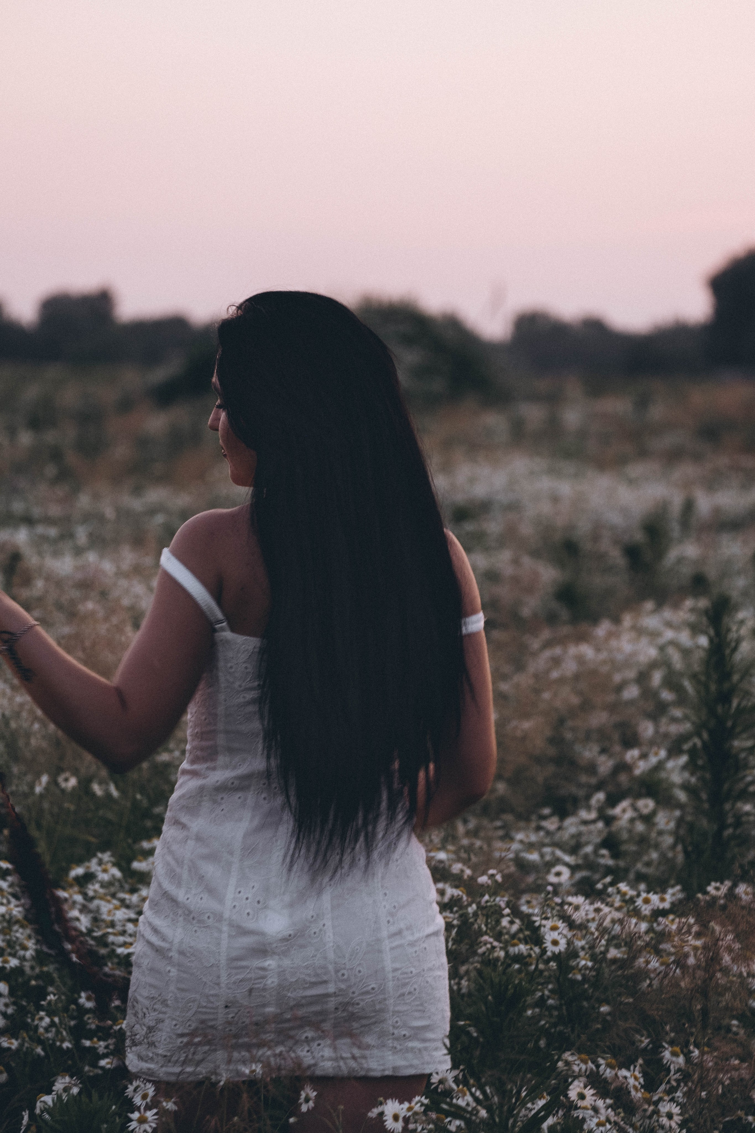 Ромашковое поле. Профессиональный фотограф, Санкт-Петербург — Виктория Богомолова