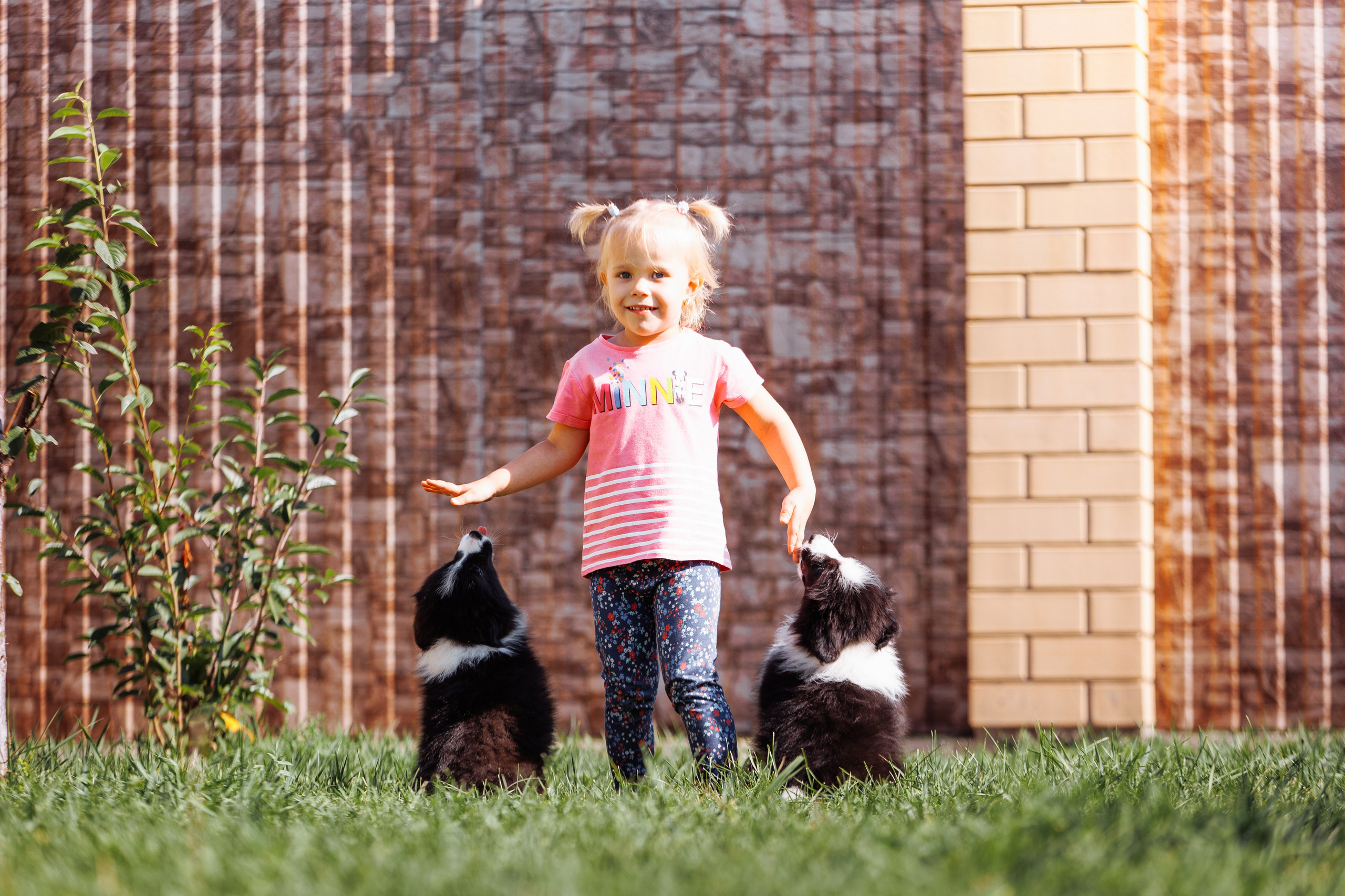 МММ — маленькое мягкое милое. О нас