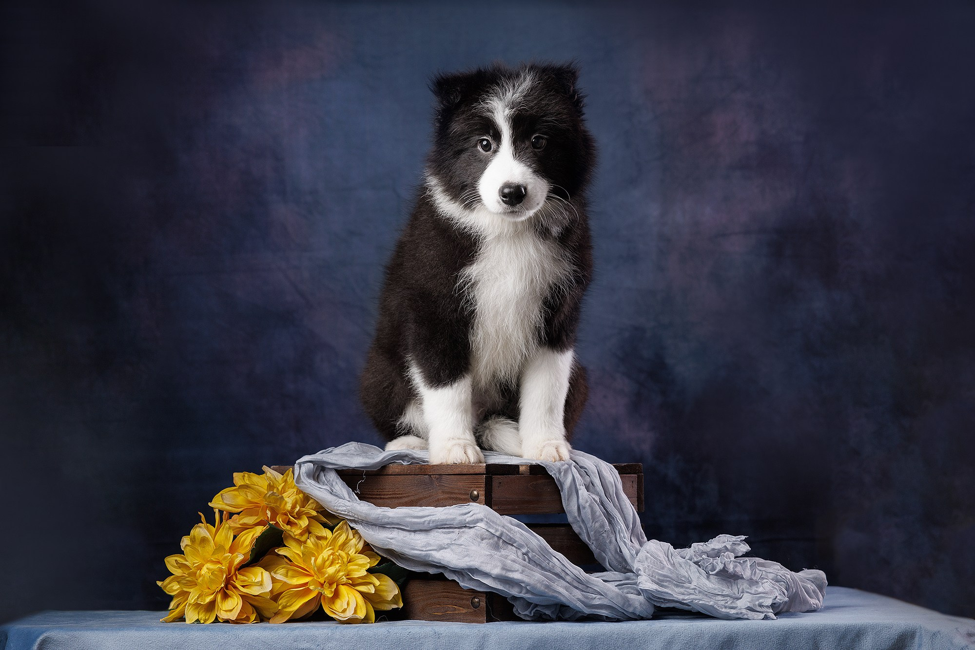 На водной основе. О нас