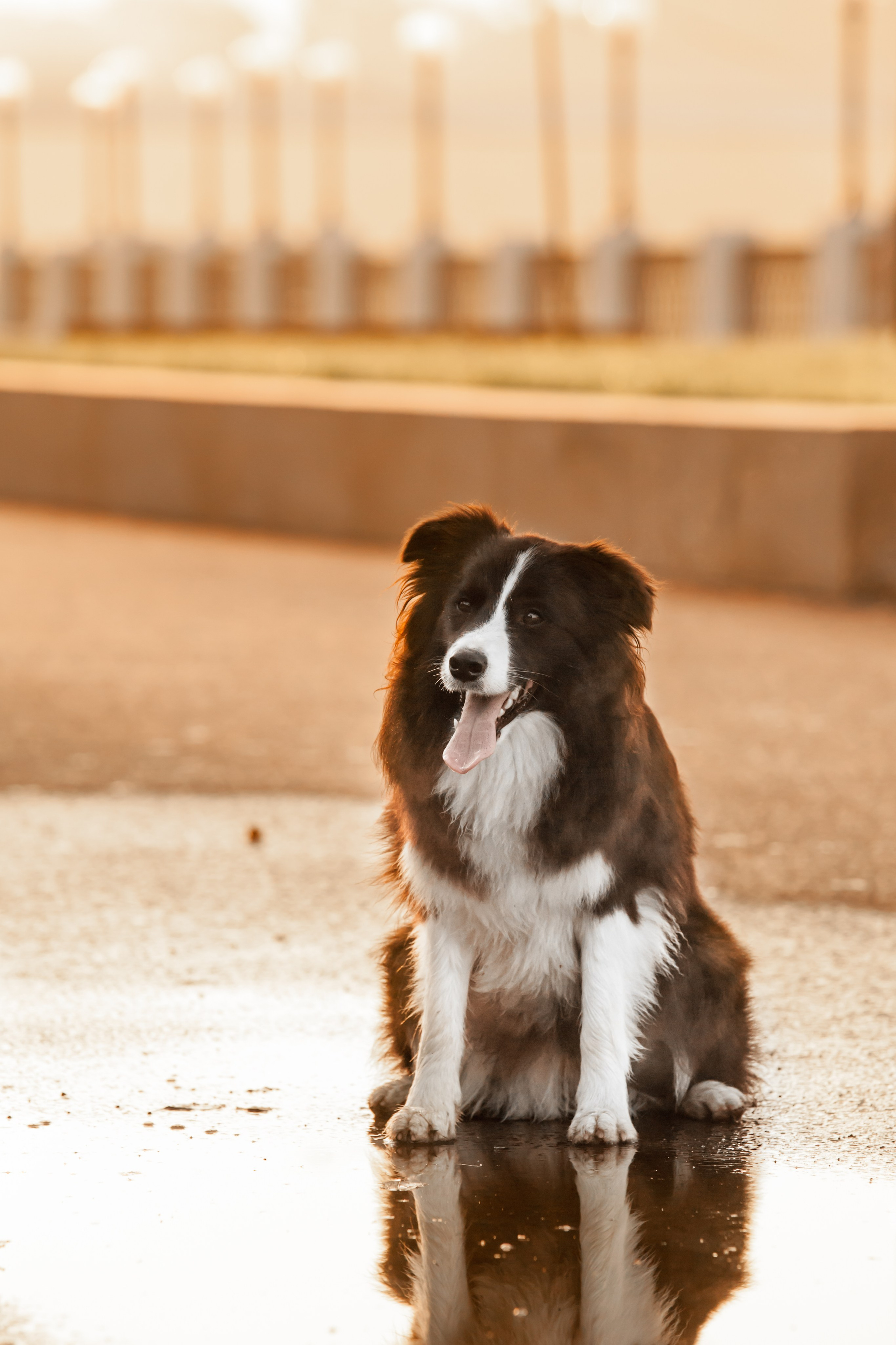 Сочный рассвет, на который решились. О нас